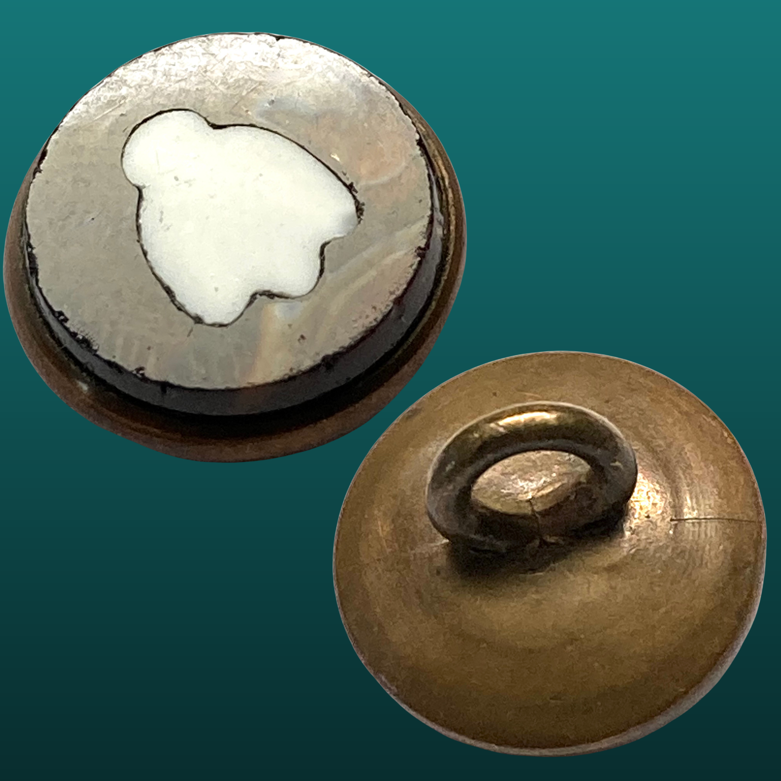 1-516 Large $18-165.png