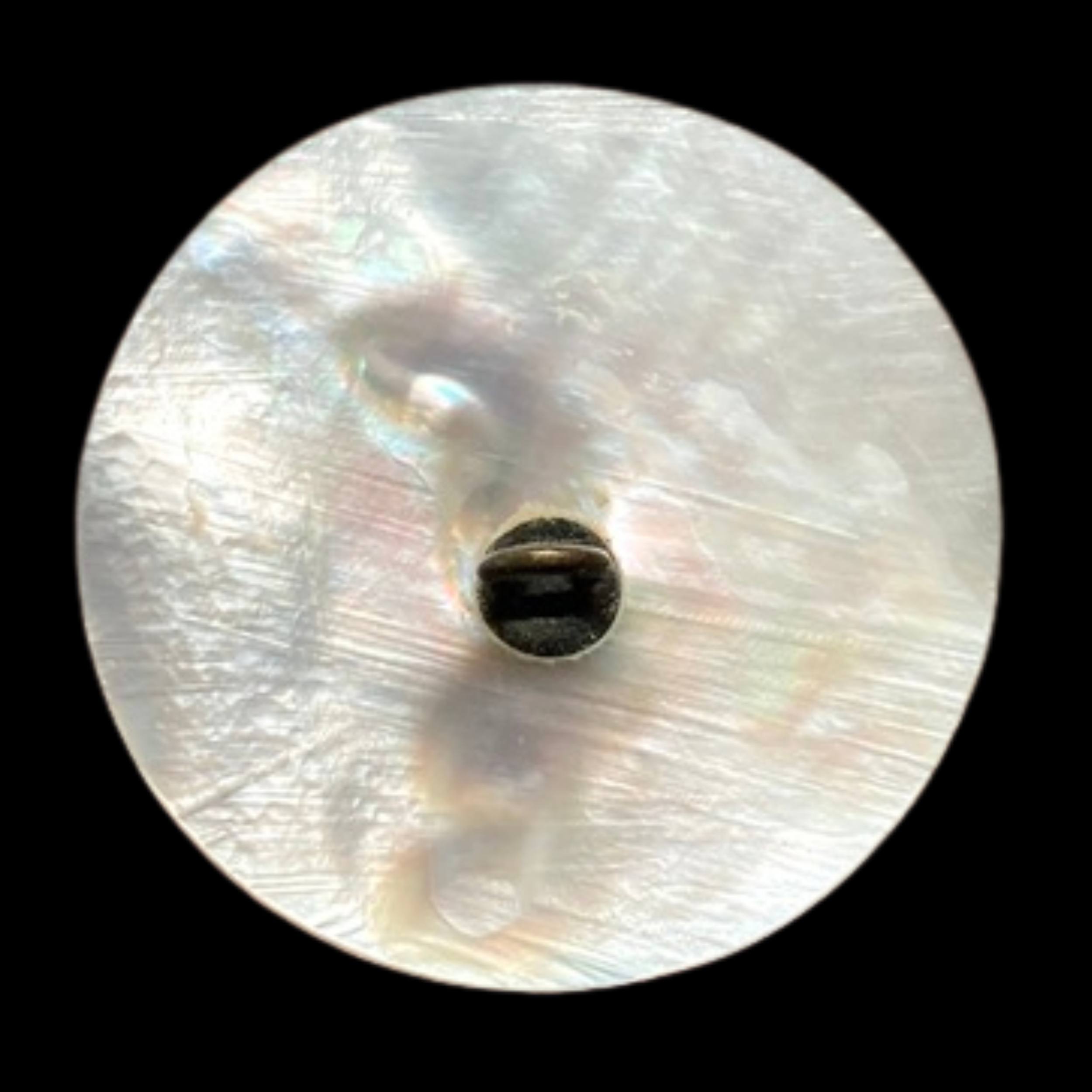 Copy of Copy of Untitled (3024 x 3024 px)(602).png