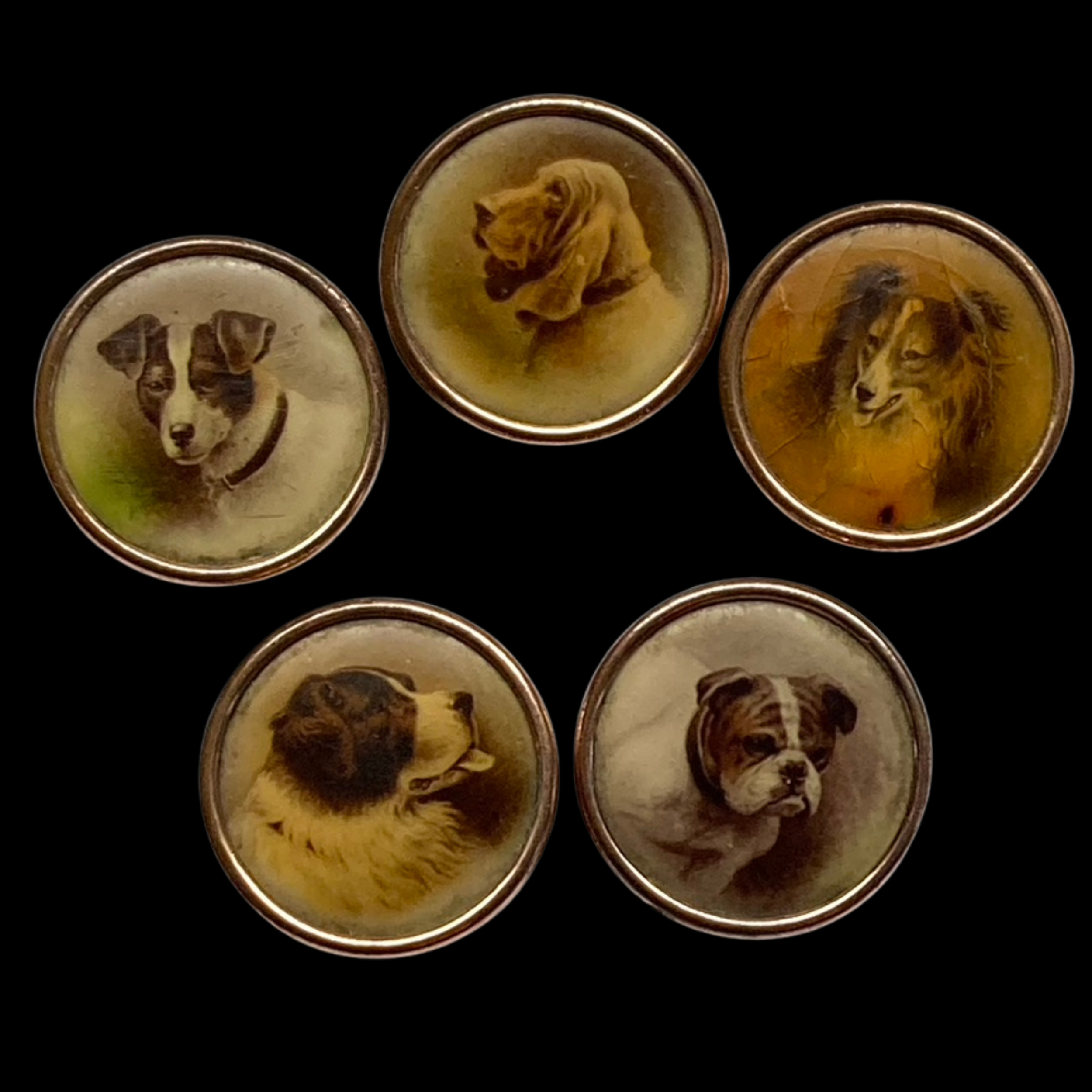 1 Medium $5 each (3024 x 3024 px)(148).png
