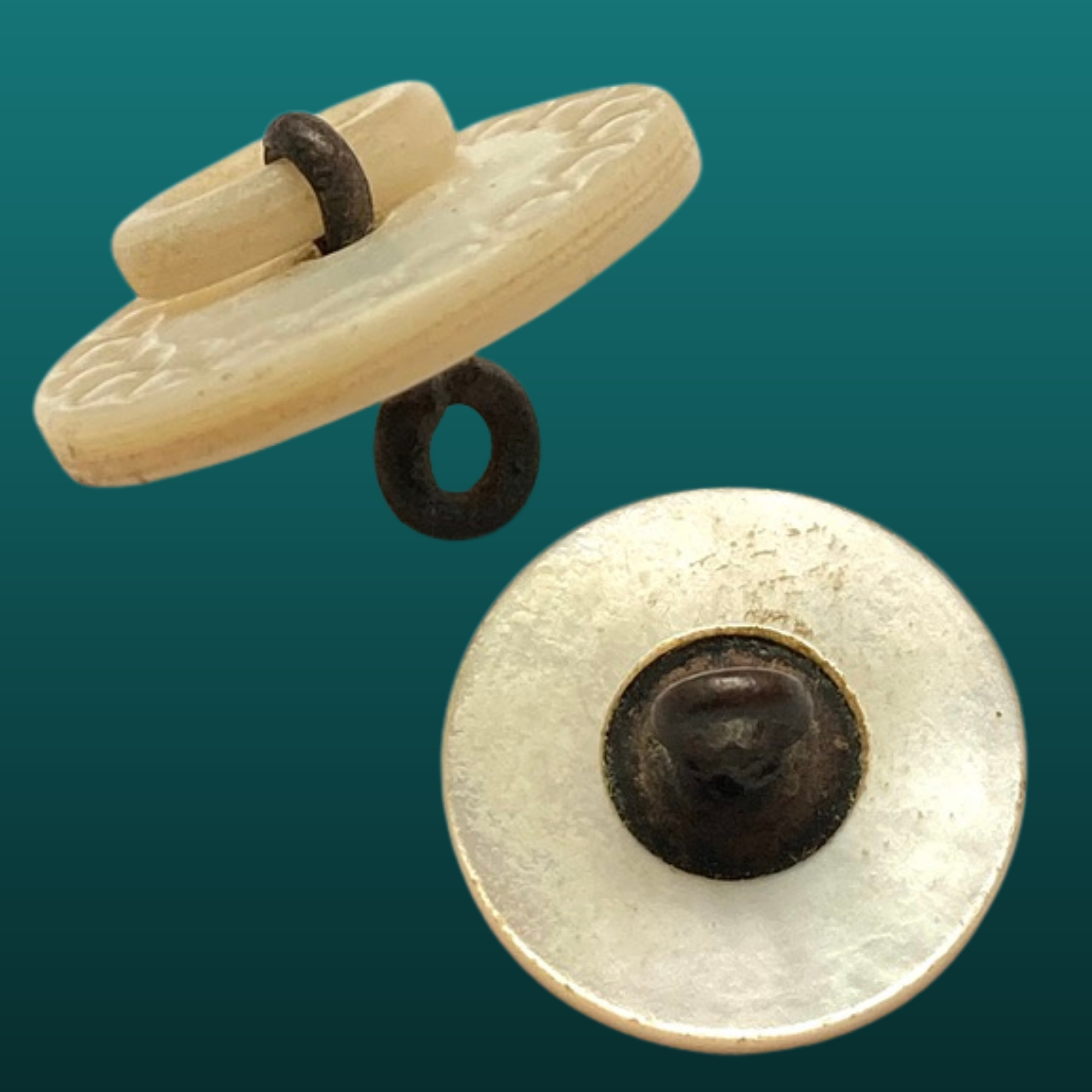 1-516 Large $18(644).png