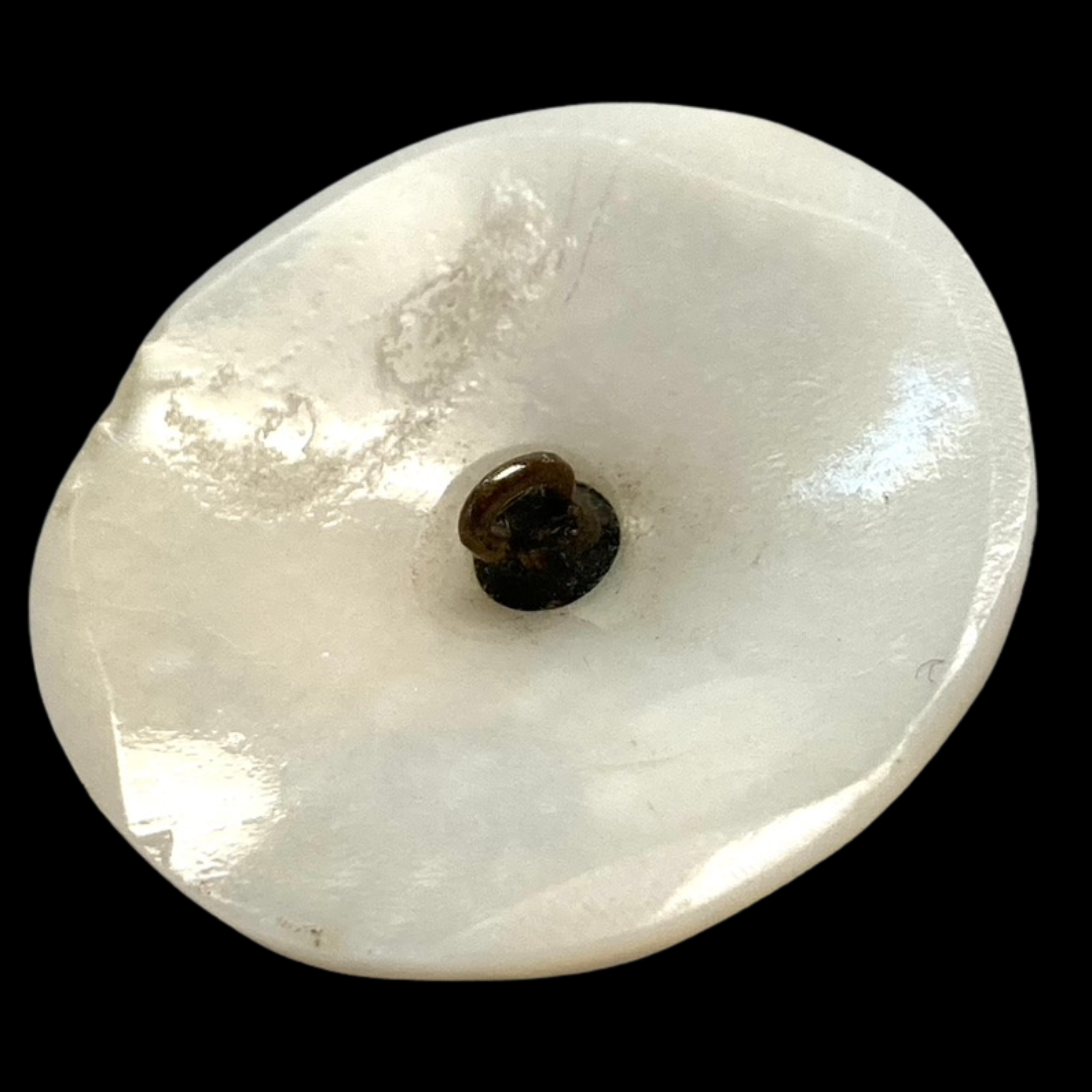 Copy of Copy of Untitled (3024 x 3024 px)(407).png