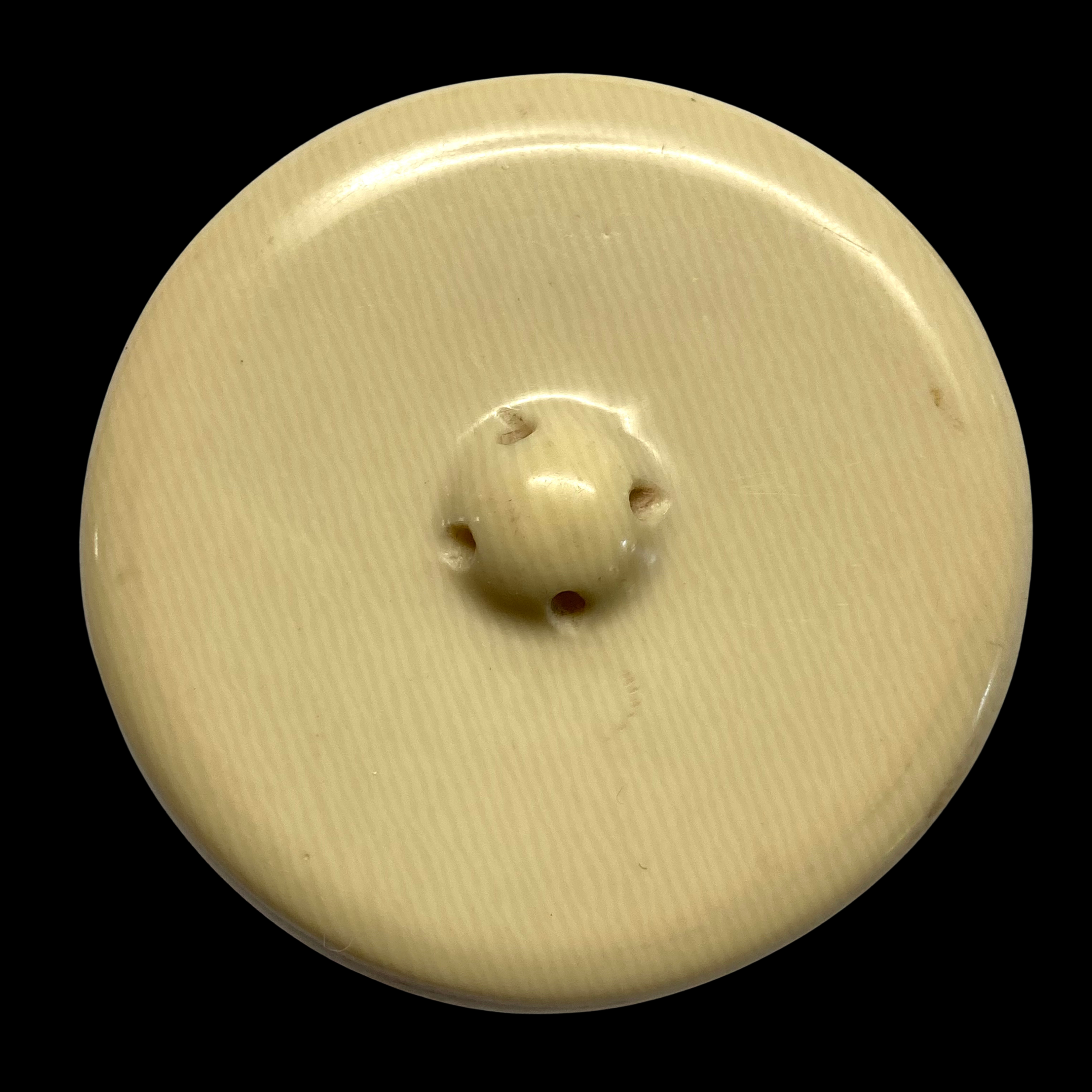 Your paragraph text(200).png (Copy)