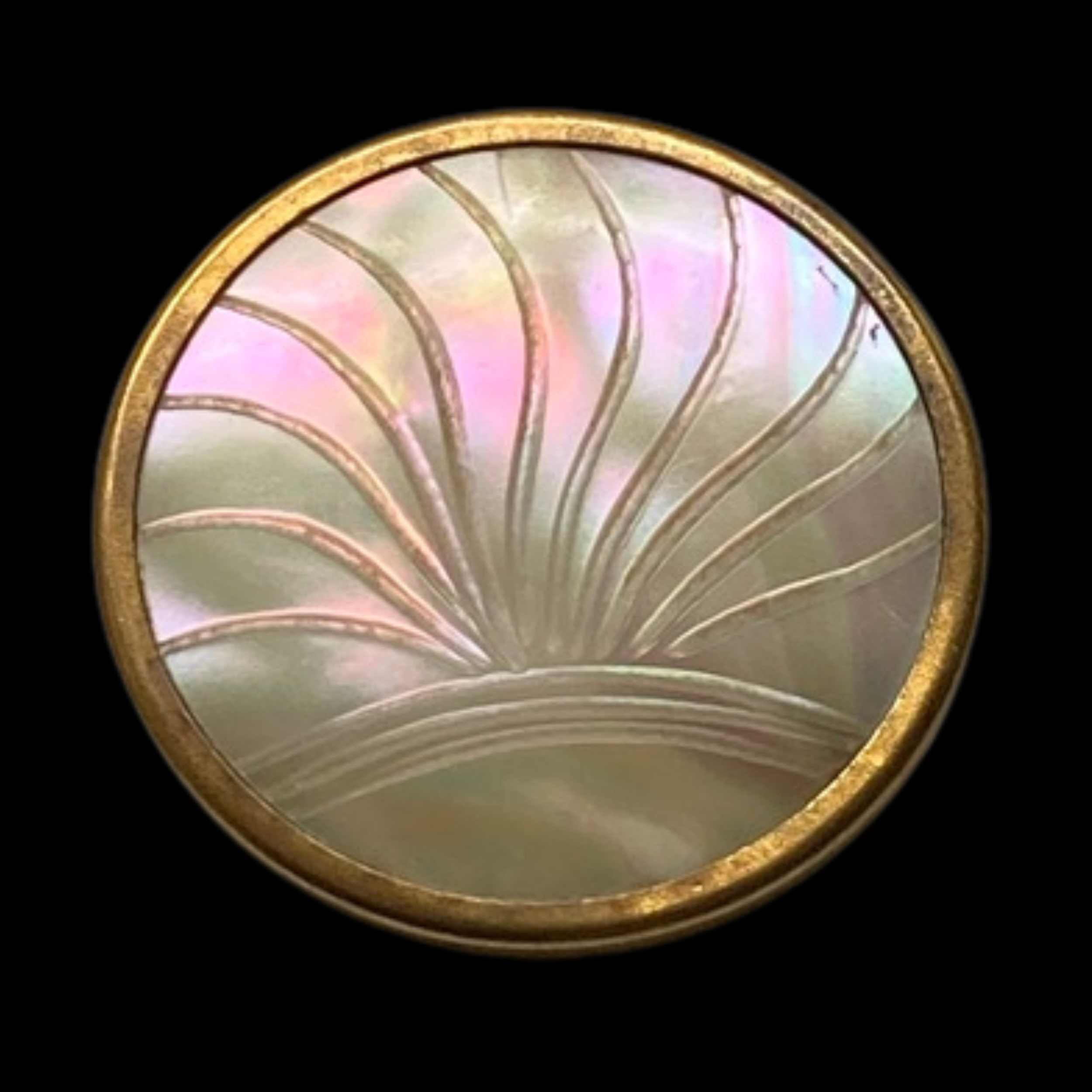 Copy of Copy of Untitled (3024 x 3024 px)(505).png
