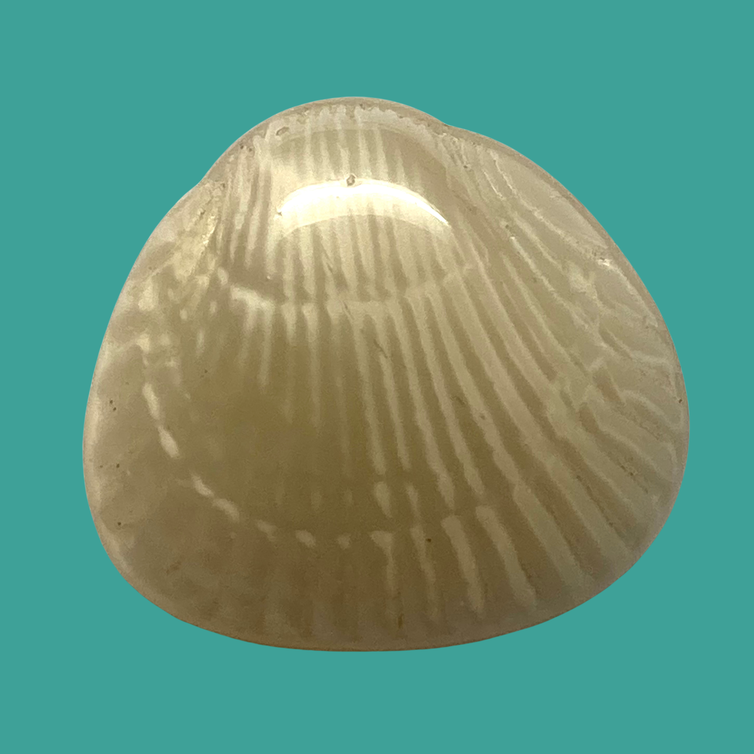 Untitled design(83).png (Copy)