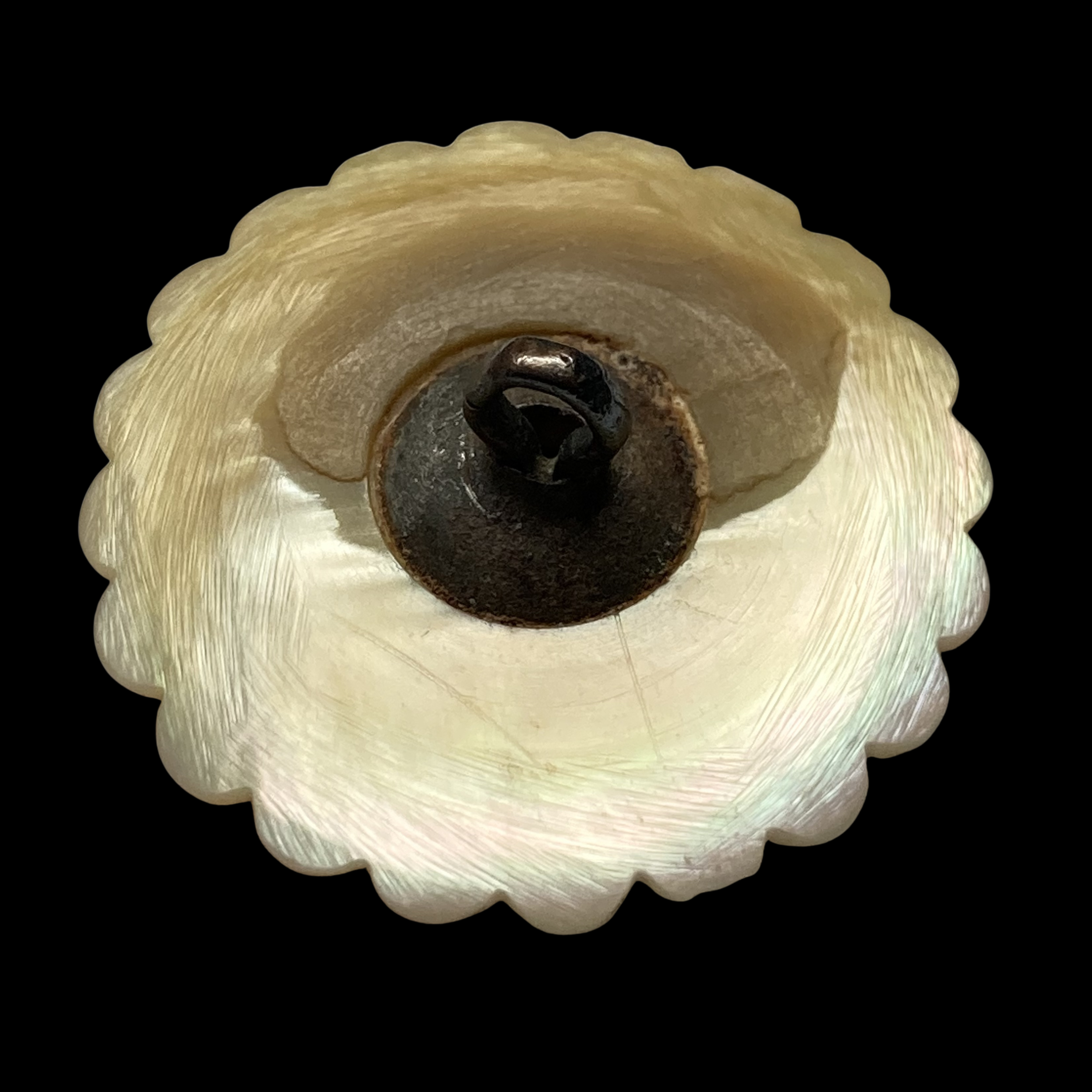 Copy of Copy of Untitled (3024 x 3024 px)(561).png
