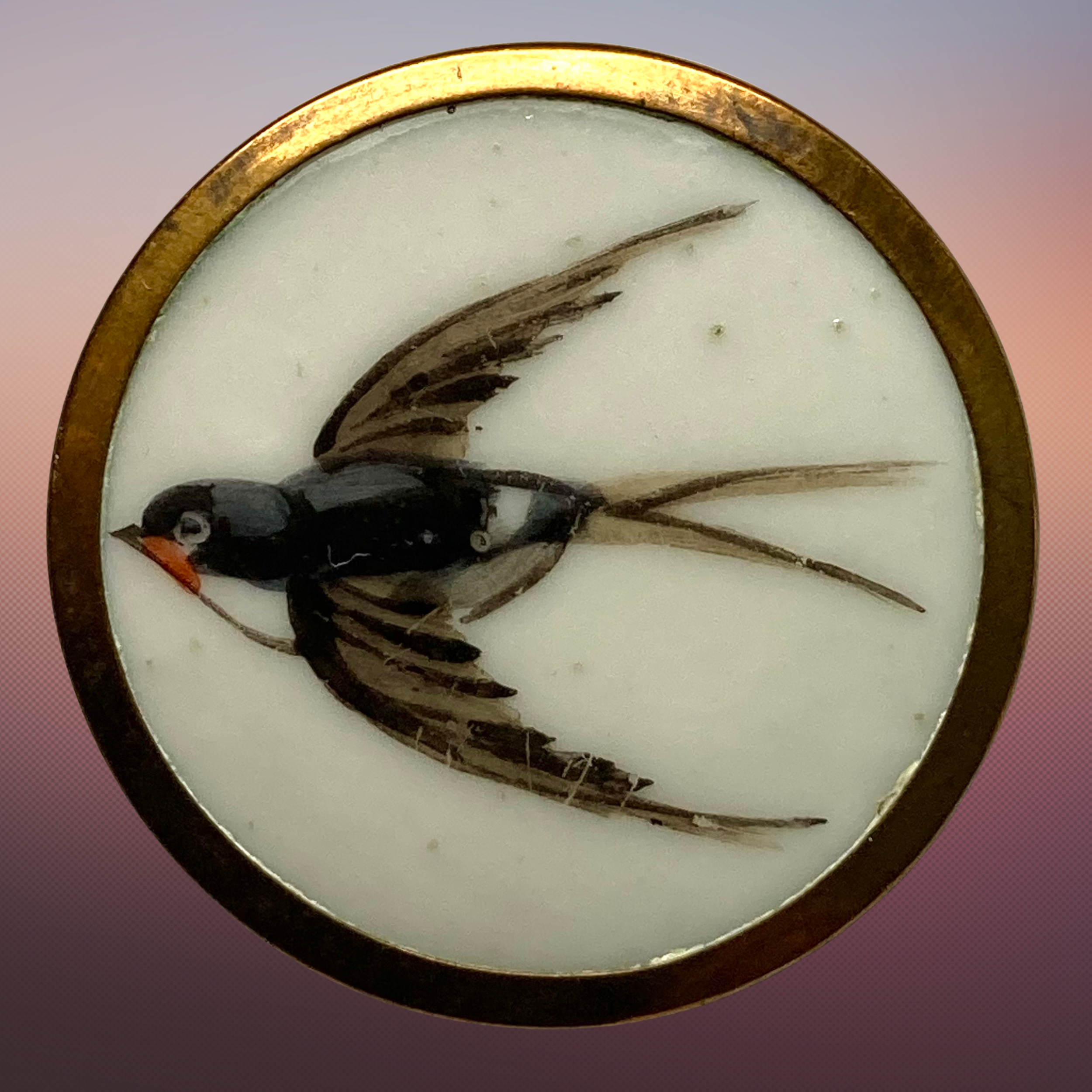 Your paragraph text(323).png