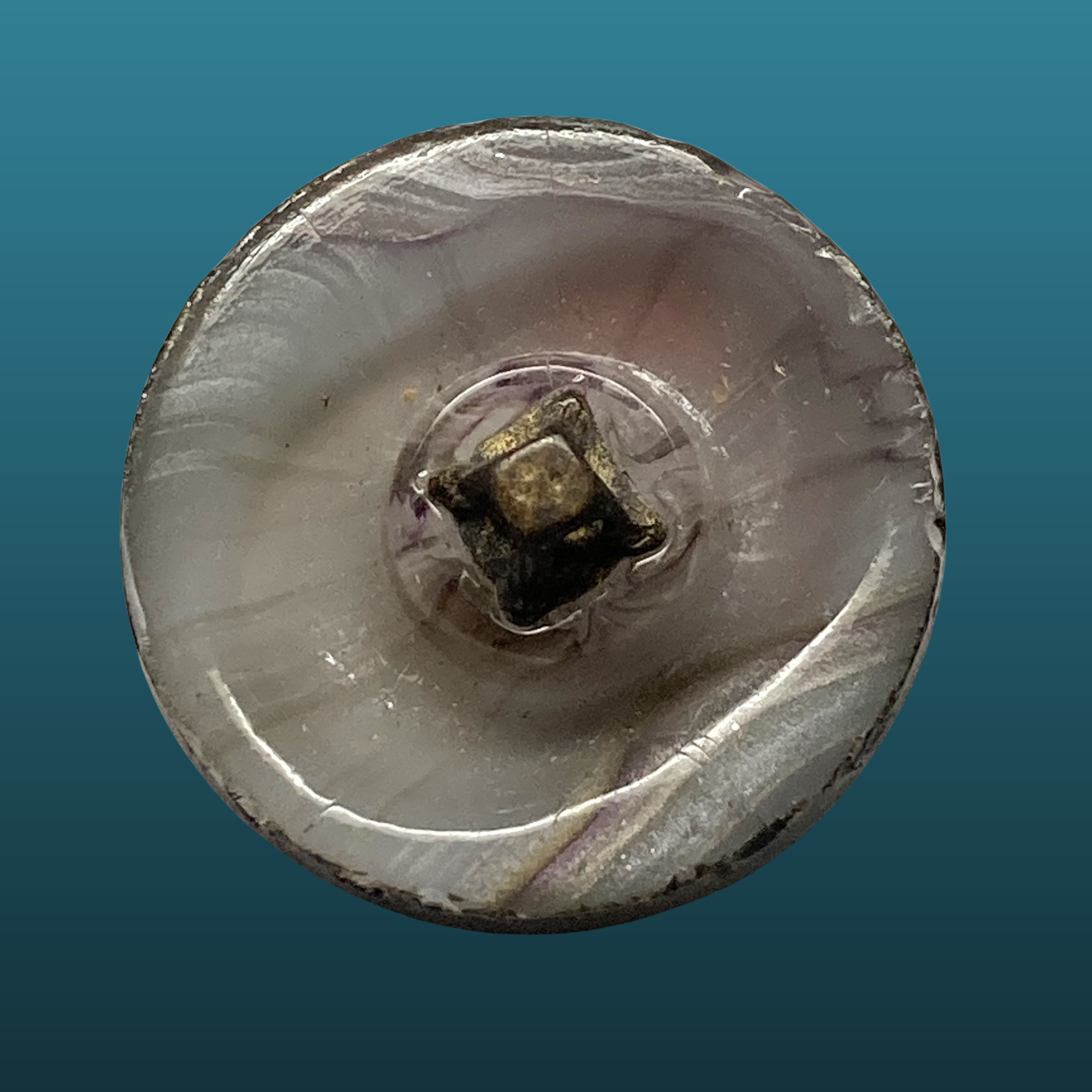 Copy of Copy of Untitled (3024 x 3024 px)(573).png