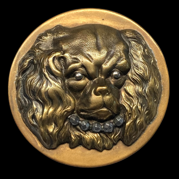 Your paragraph text(260).png