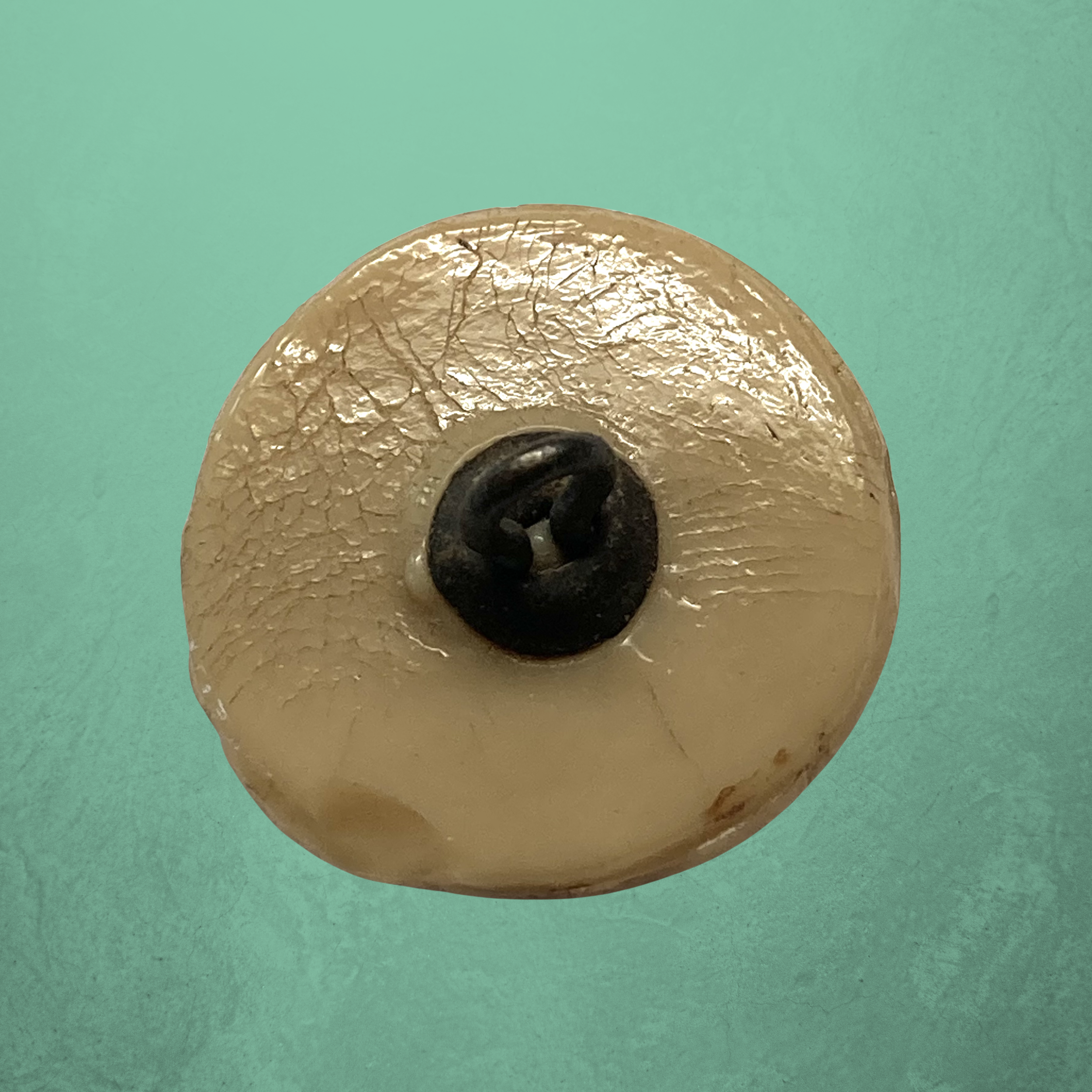 Copy of Copy of Untitled (3024 x 3024 px)(352).png