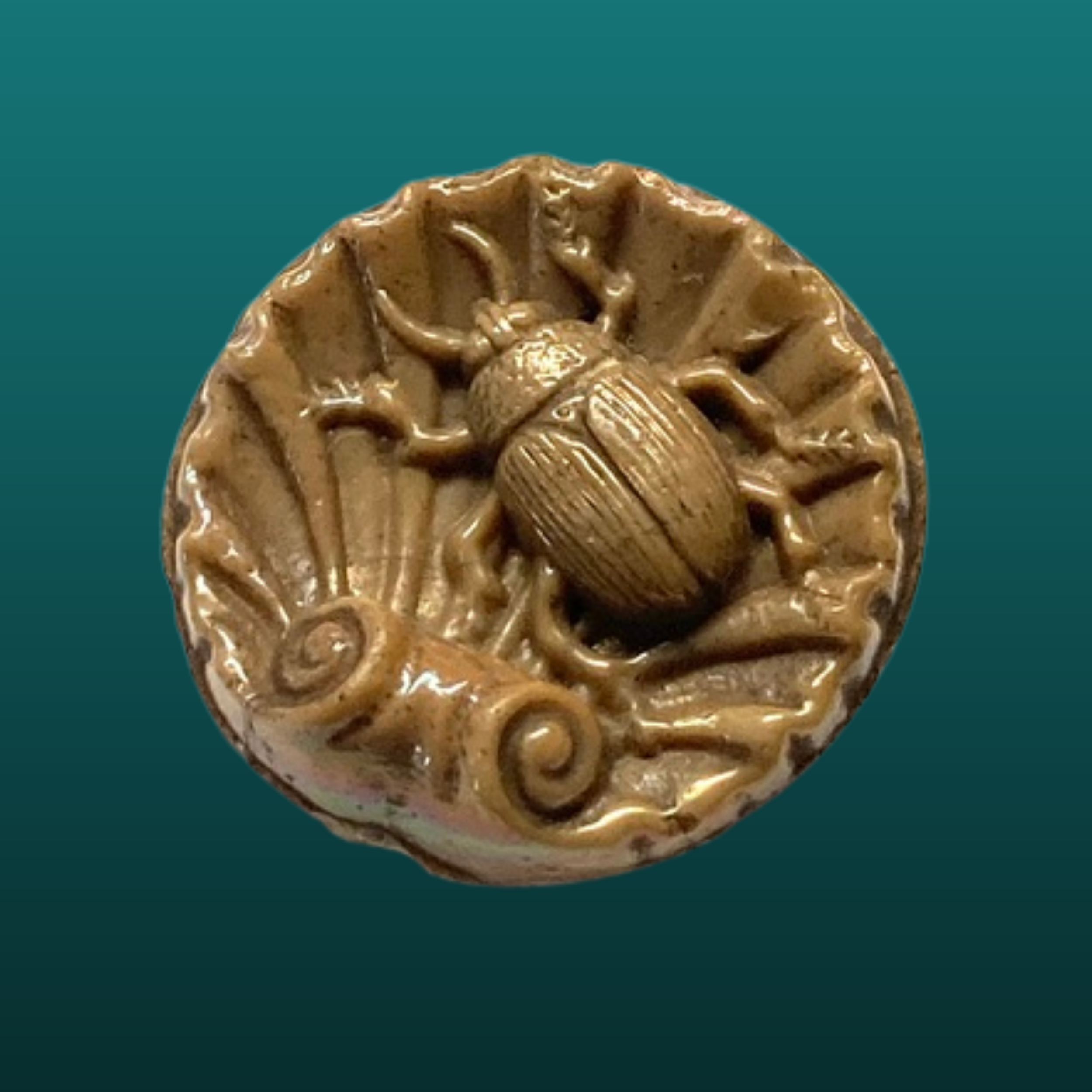 Medium 19th Century Glass Button with Beetle on Shell Uncommon Color