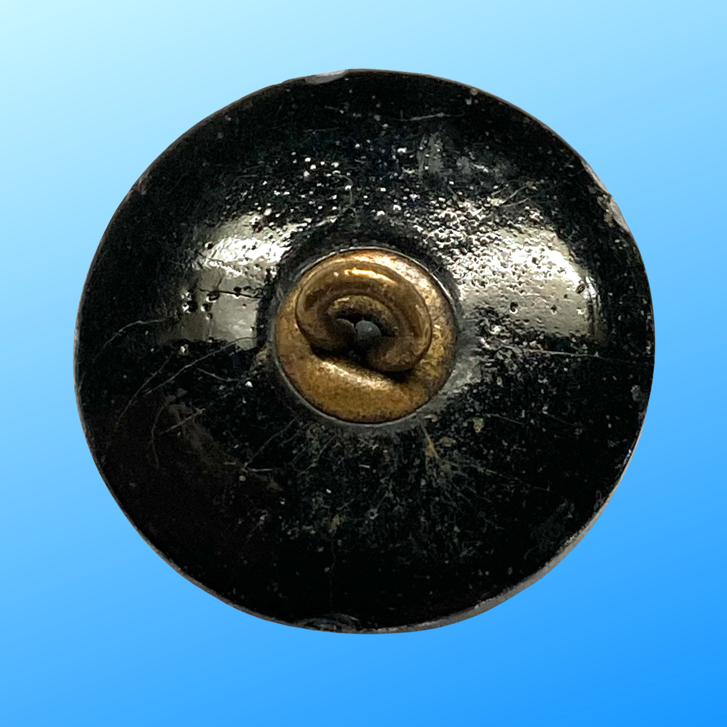 Your paragraph text(205).png