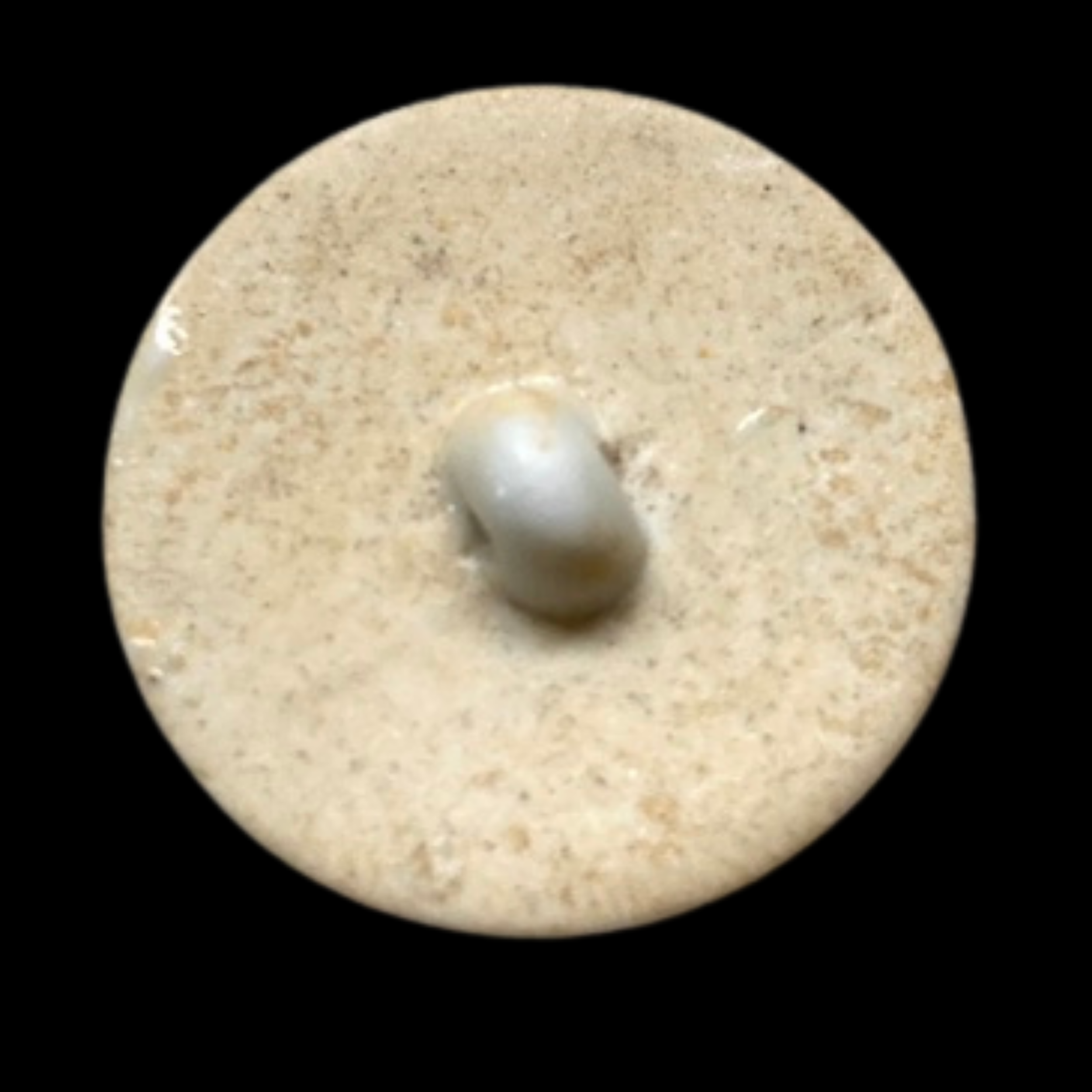 1-516 Large $18(667).png
