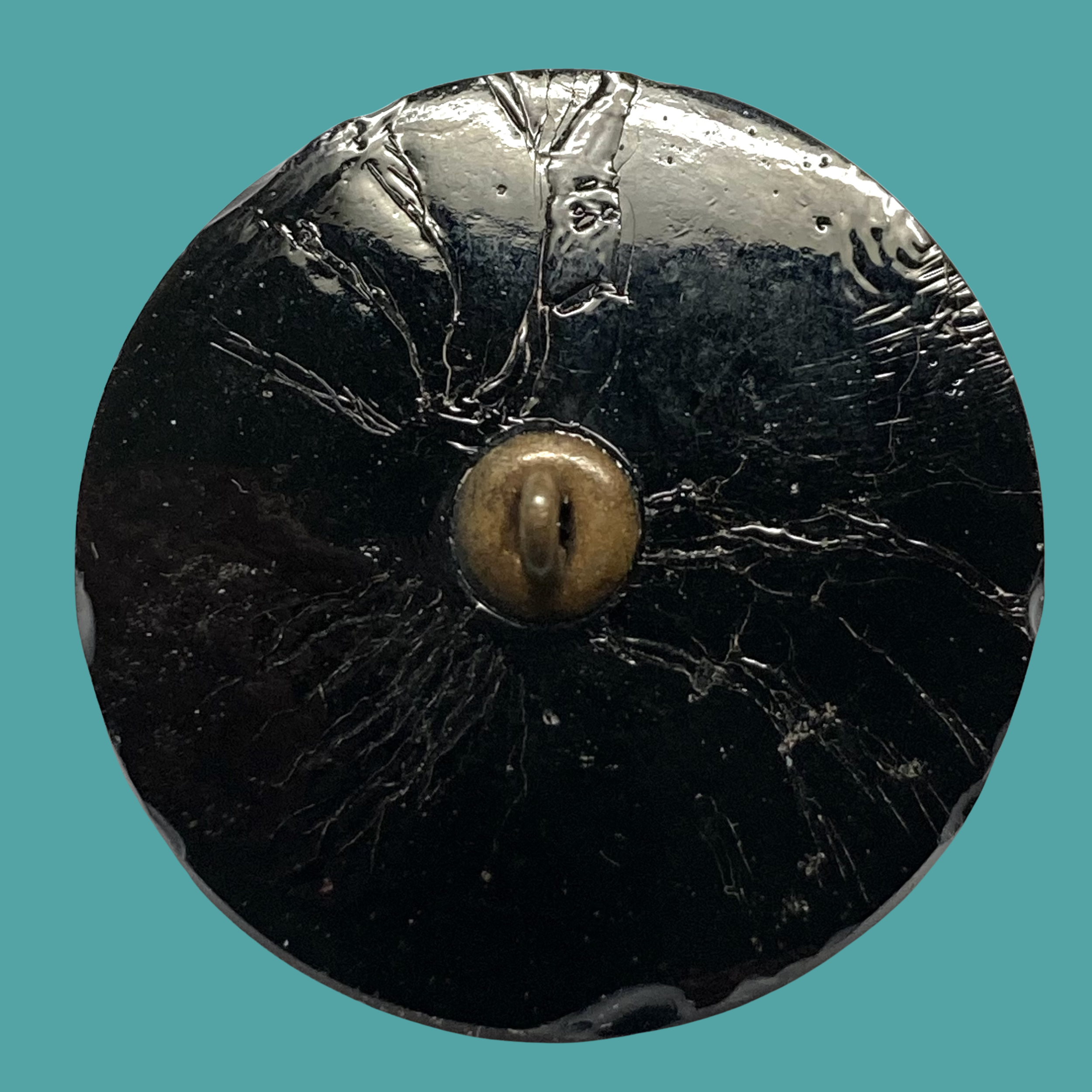 Copy of Untitled (3024 x 3024 px)(1178).png