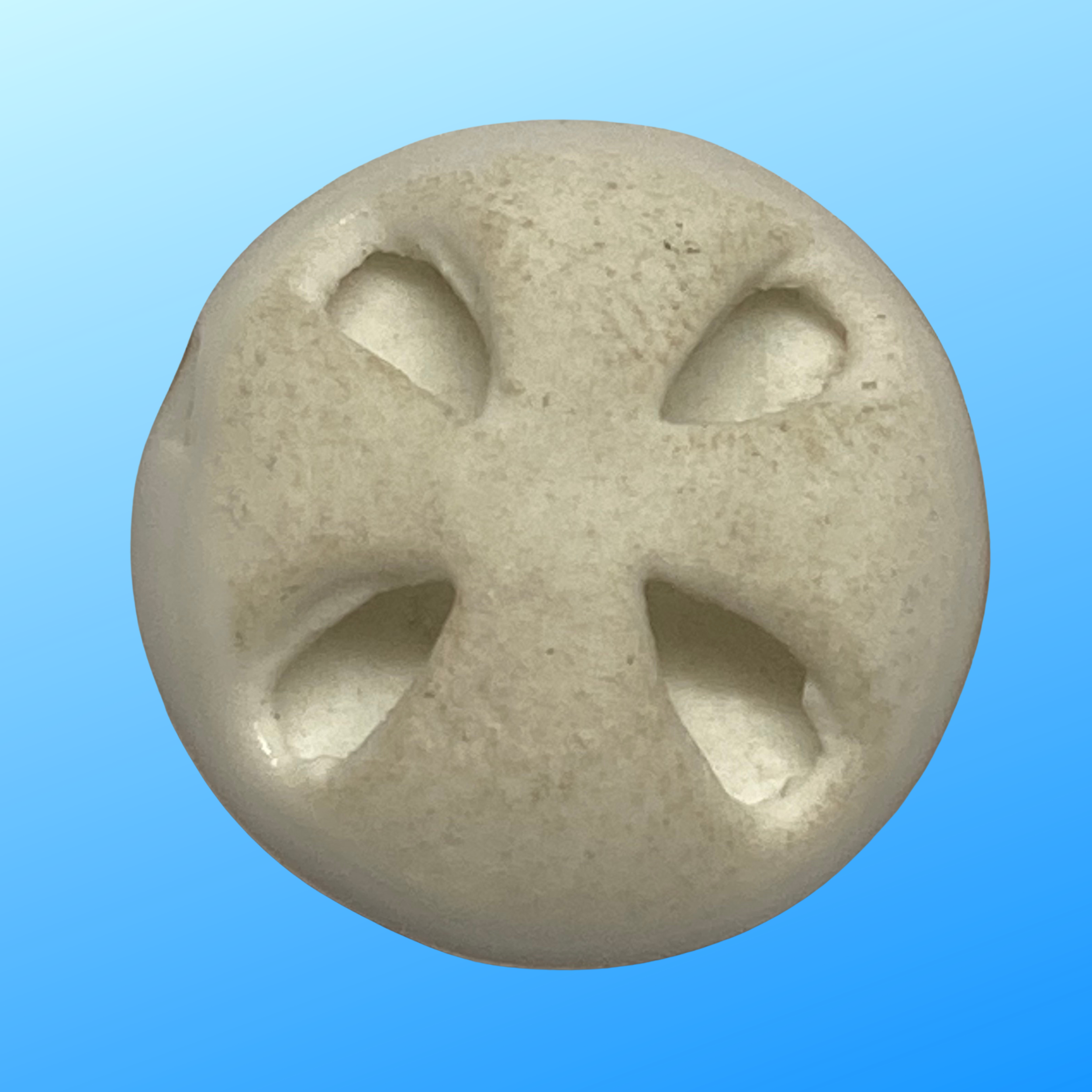 Your paragraph text (3024 x 3024 px)-53.png