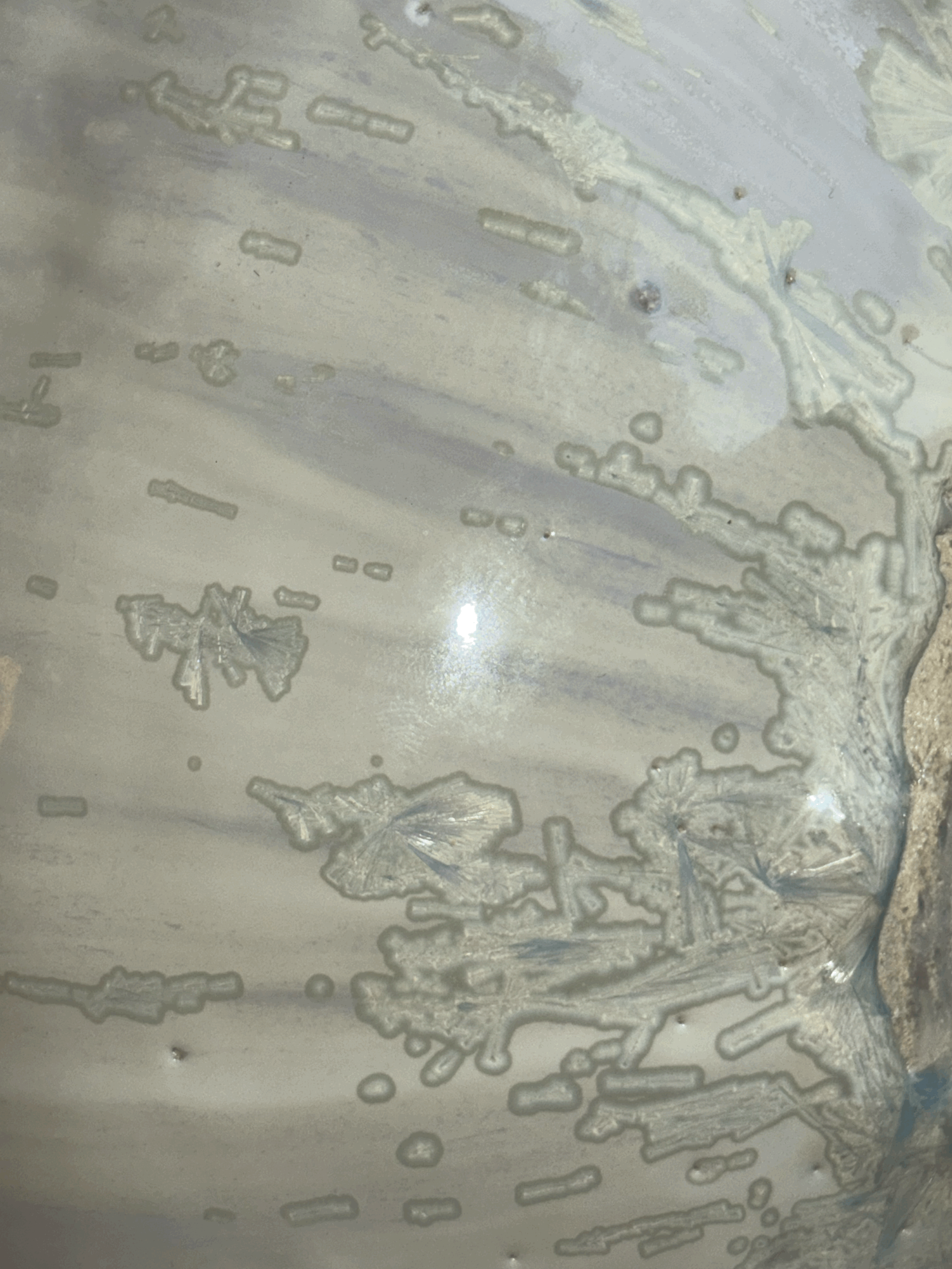 tempImagepHWxh1.gif