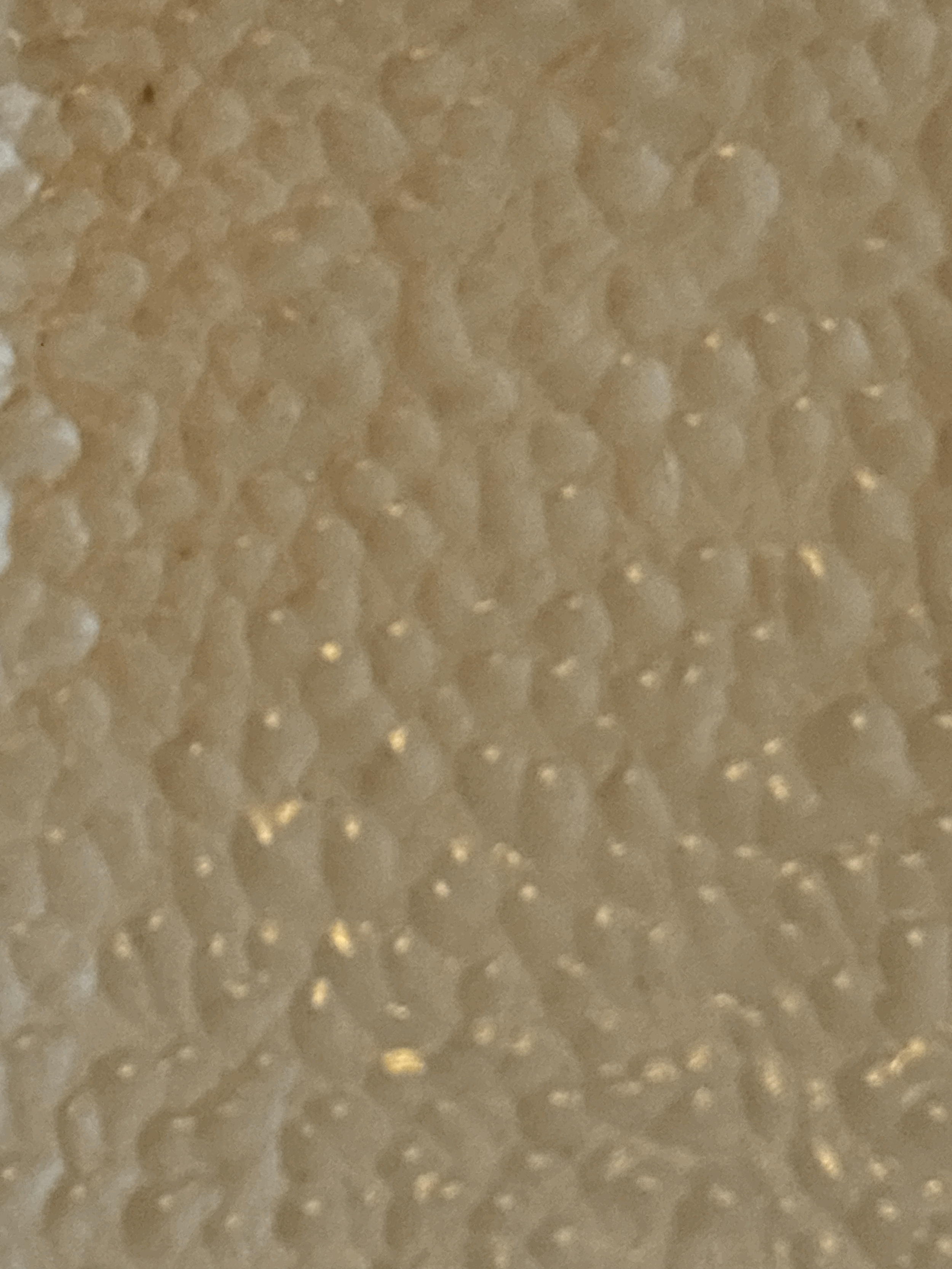 tempImagel7htsC.gif