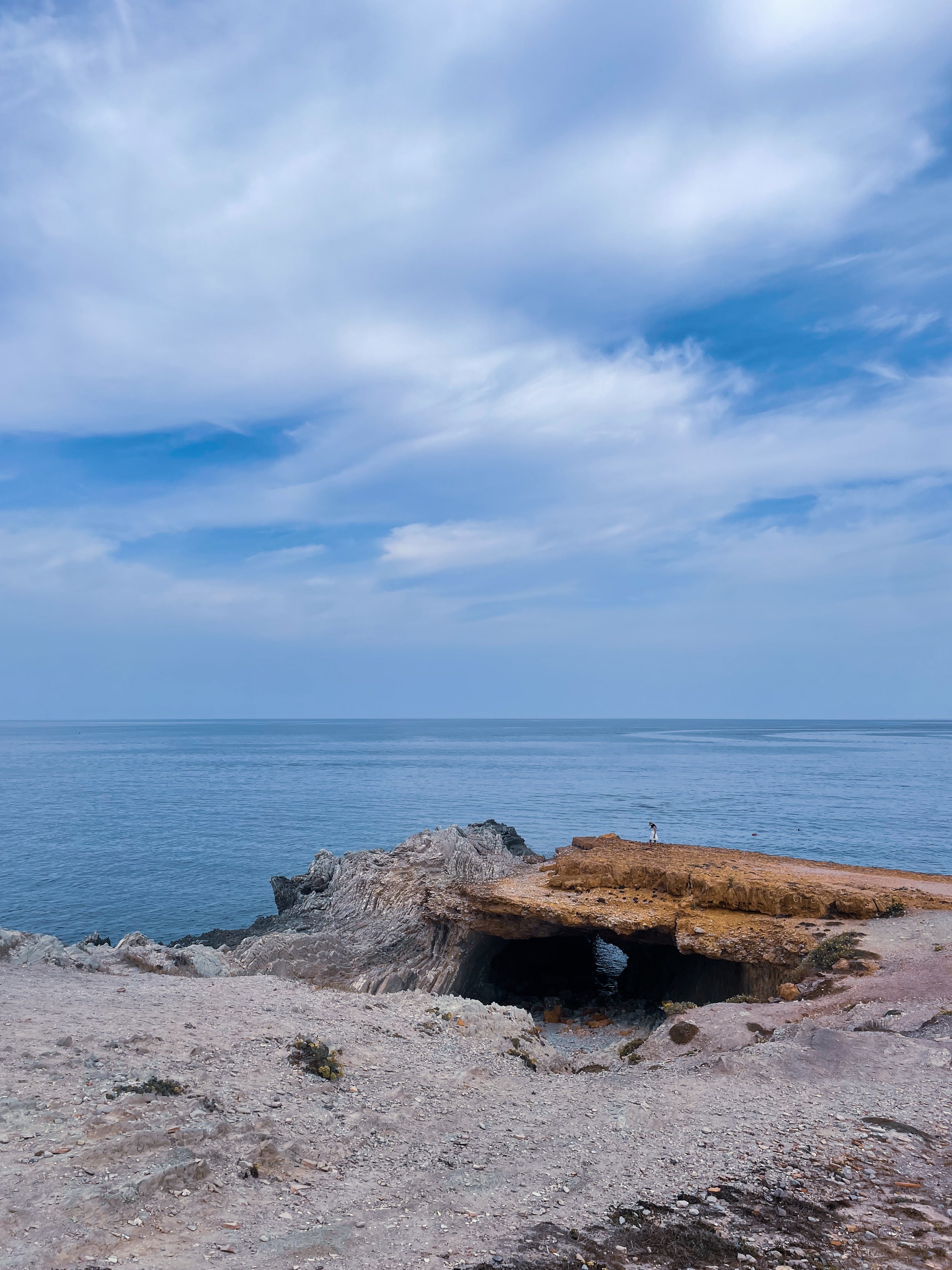 96F50C80-6DE4-4A3C-84B2-28651143A669.jpeg