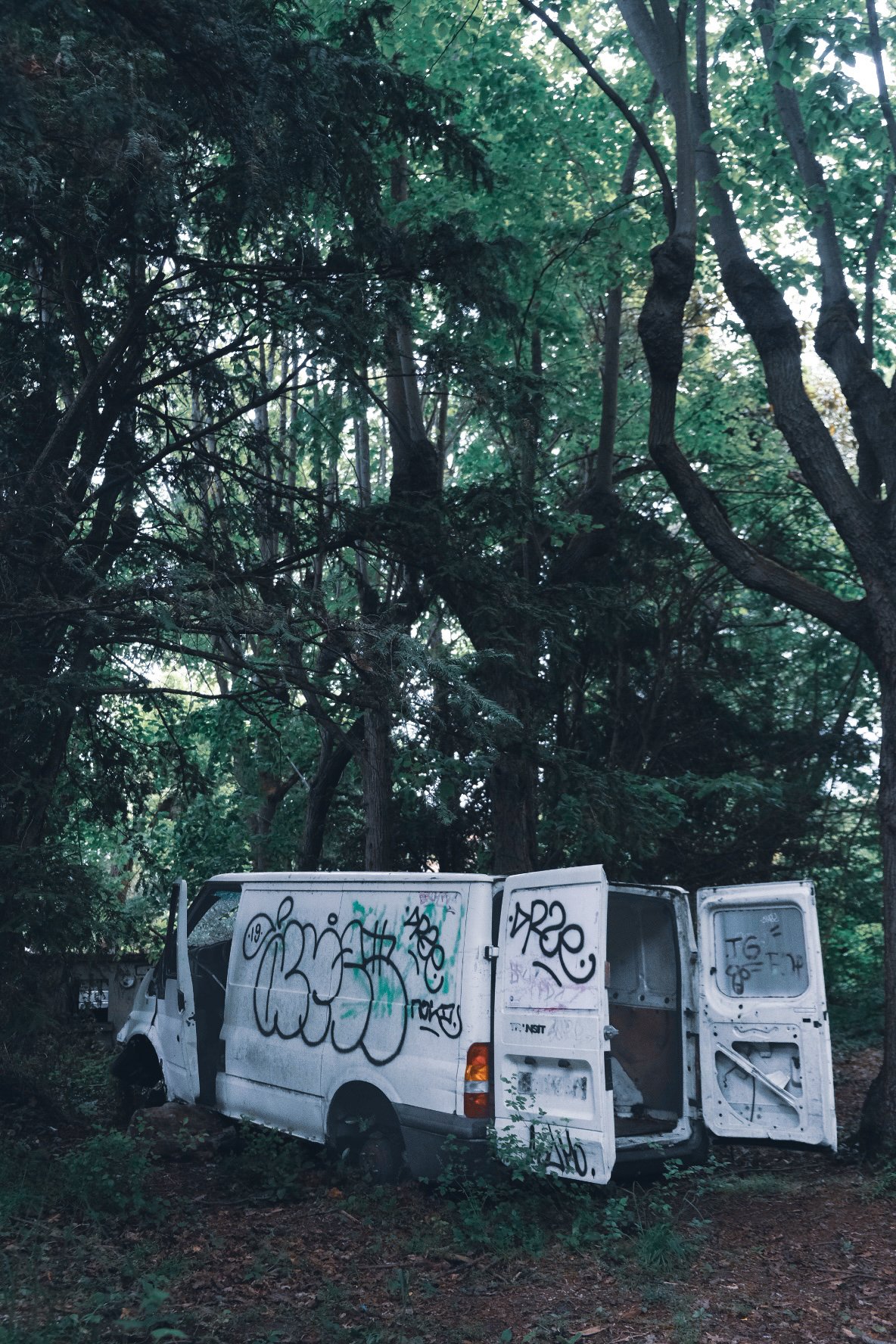 6F1FD6A4-E8C9-4C08-A22F-482E219B6156.jpeg
