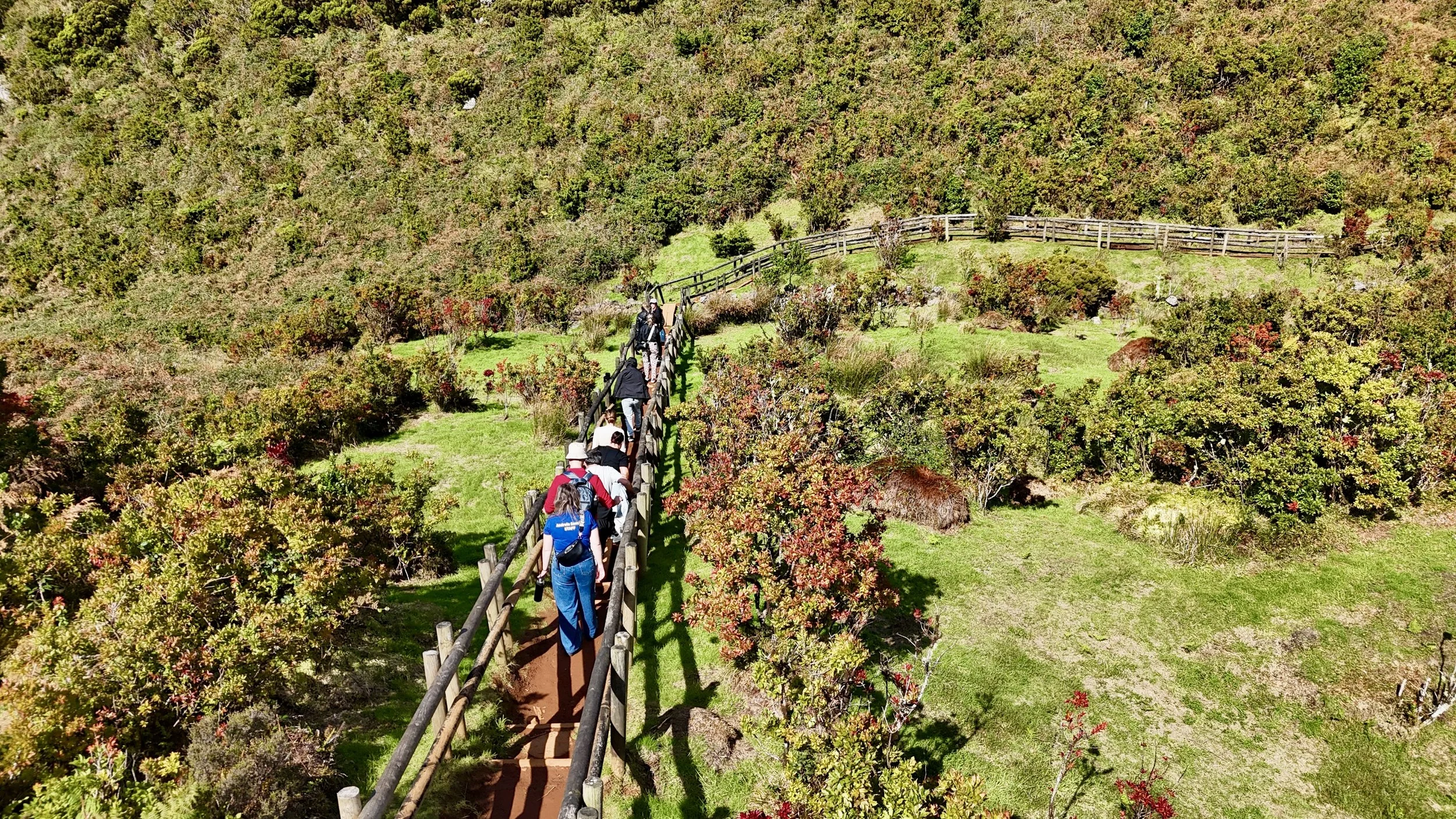 dji_fly_20241012_151838_0344_1728835690925_photo.jpg