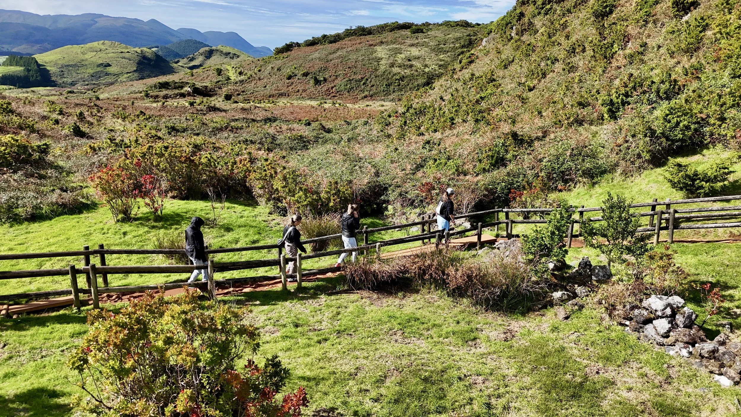 dji_fly_20241012_151854_0346_1728835690102_photo.jpg