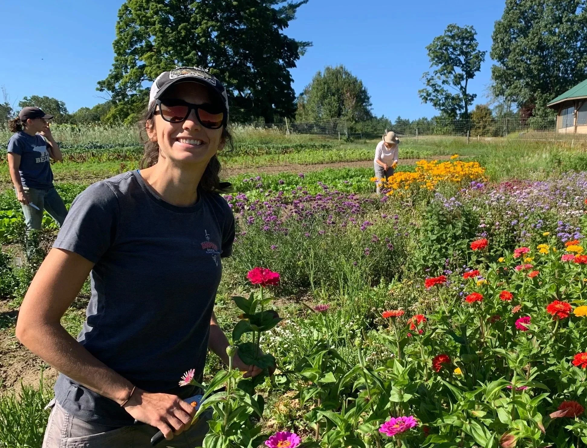 Helping Miranda with the flower harvest 