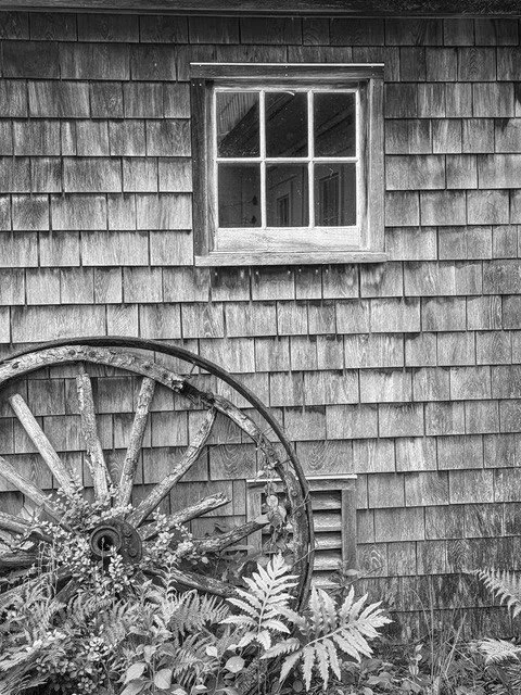 And Yet the Harvest Grows