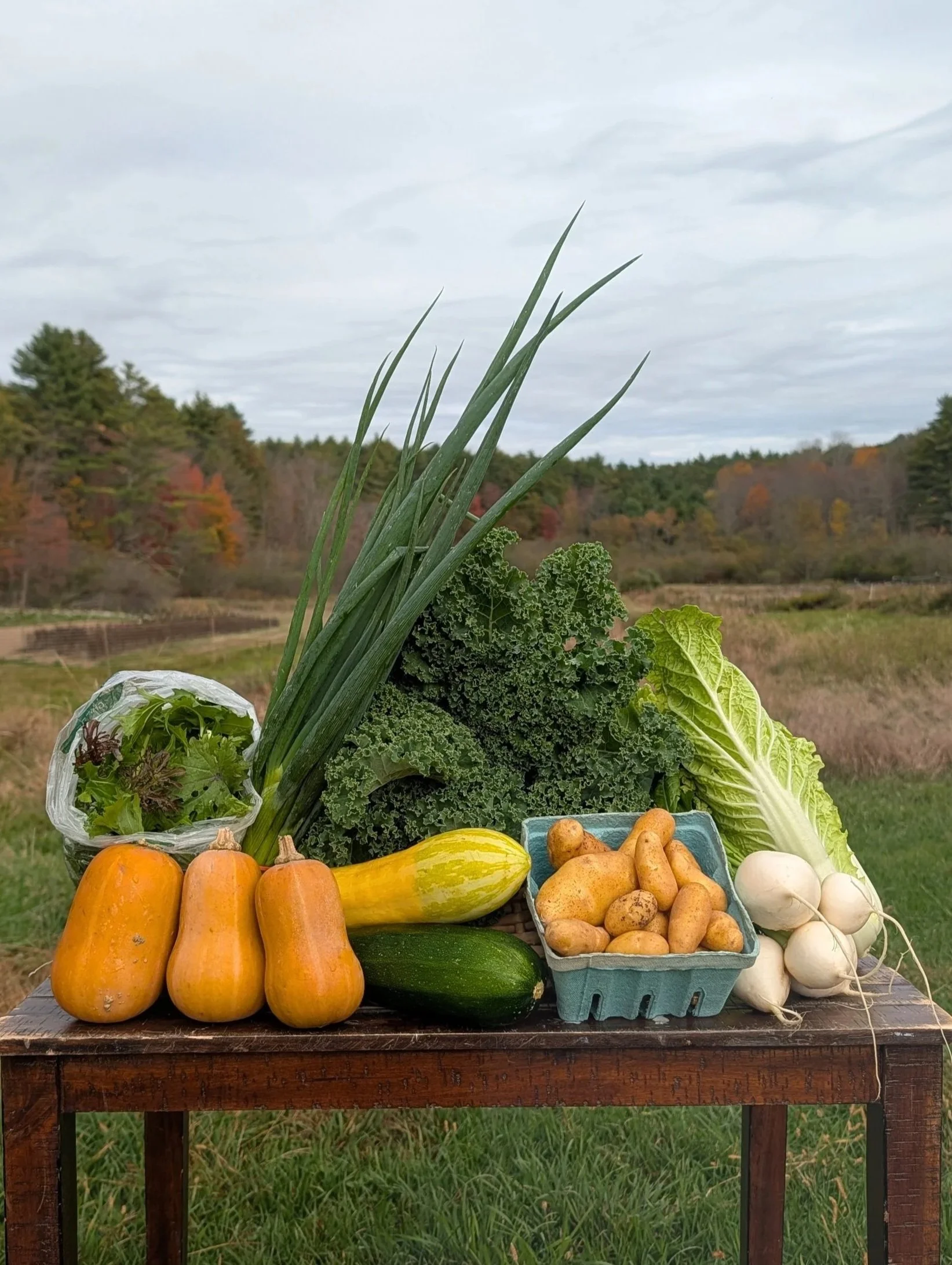 Summer 2025: Week 20