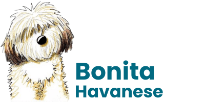 Bonita Havanese