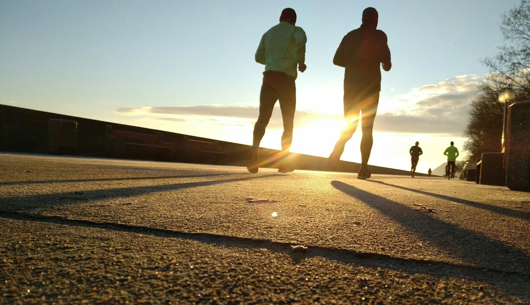 Athletic middle-aged people jogging on lakefront