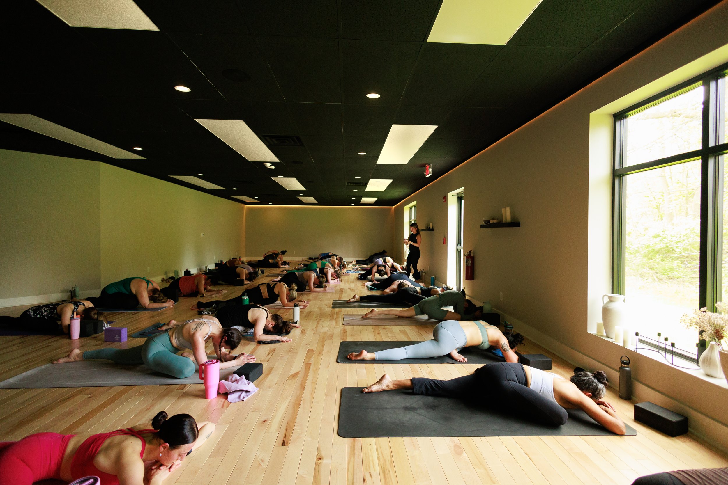 Haven House Donation Day