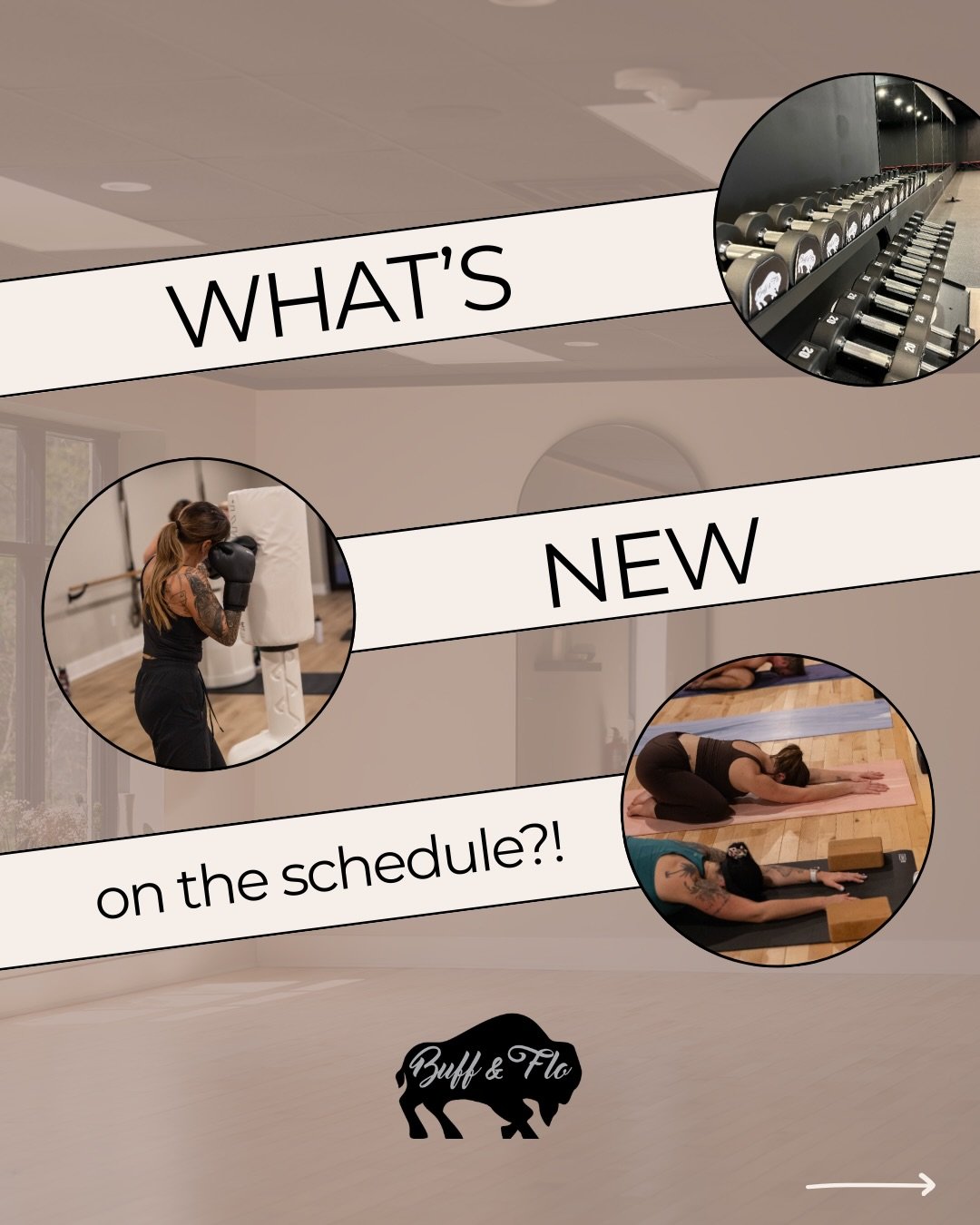 Have you checked out our updated schedule yet?! We are so excited to launch our full Satellite schedule starting this Sunday, 2/1 🤩

Sign ups are LIVE on the MindBody App and our website, reserve your spot now ✨