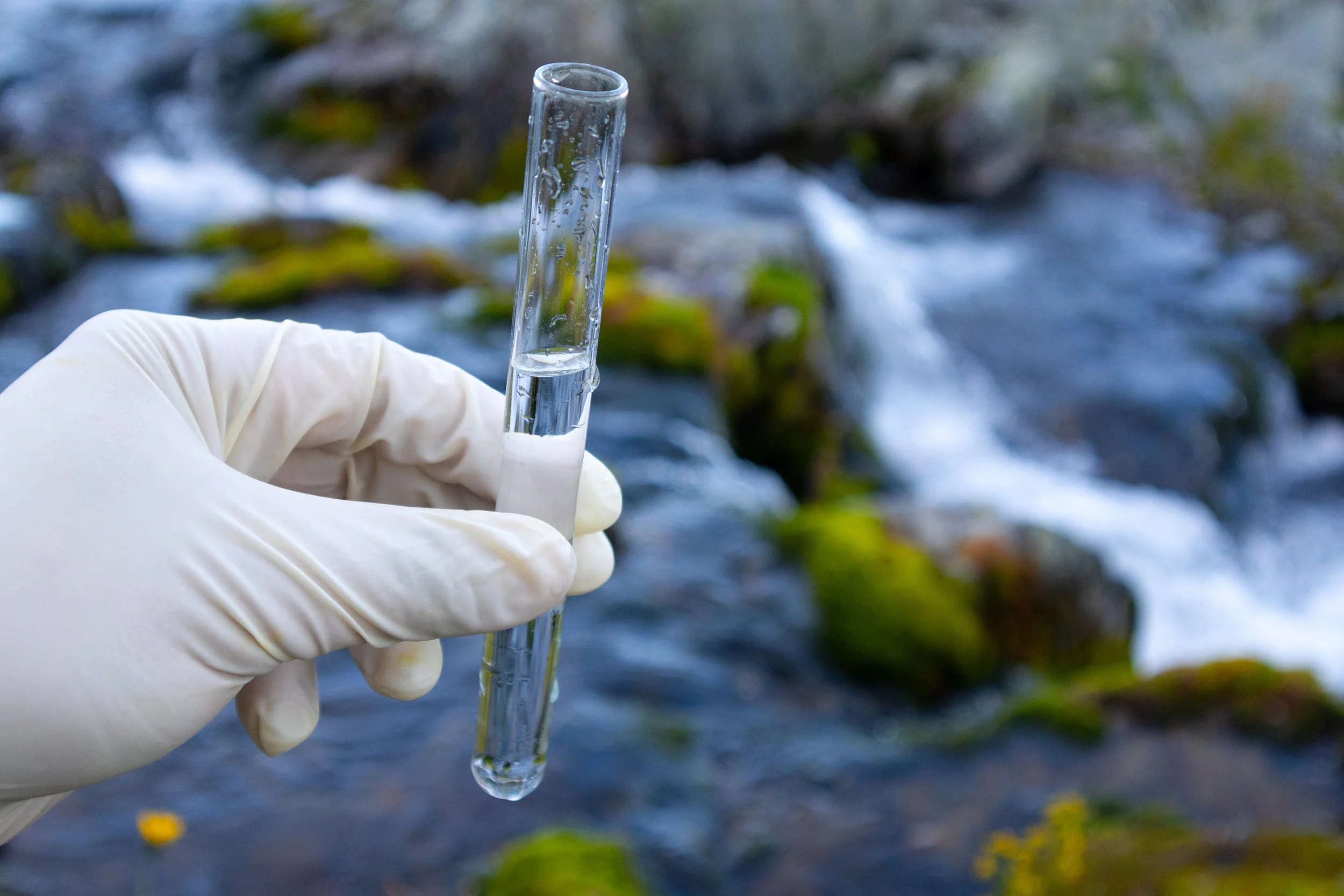 A gloved hand holding a test tube filled with water against a background of a flowing stream with rocks and moss.