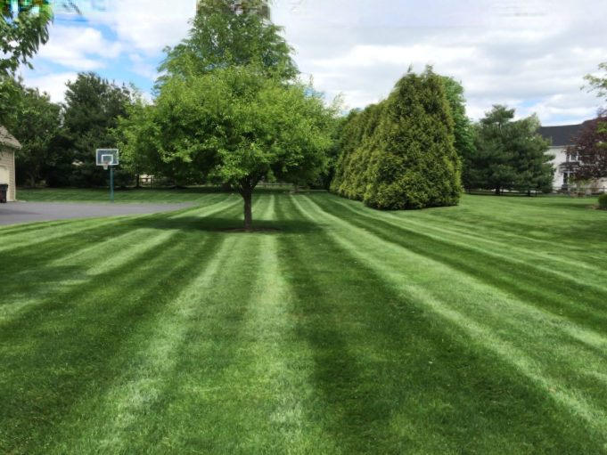 Lawn photo for Iclean.png