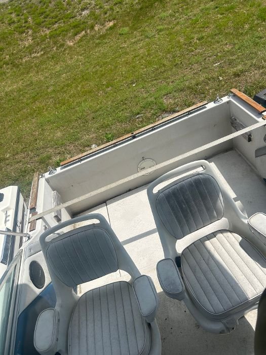 searay9.jpeg