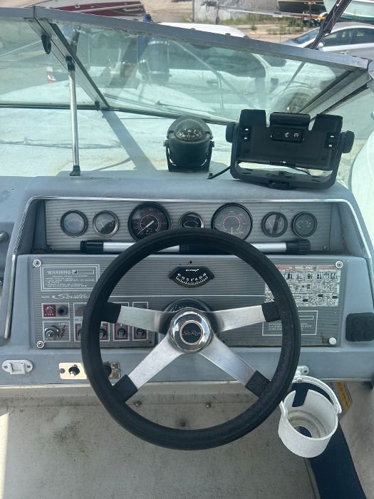 searay7.jpeg