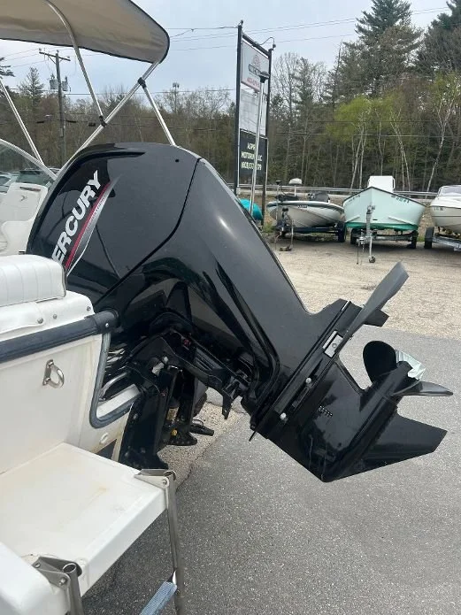 bostonwhaler5.jpeg
