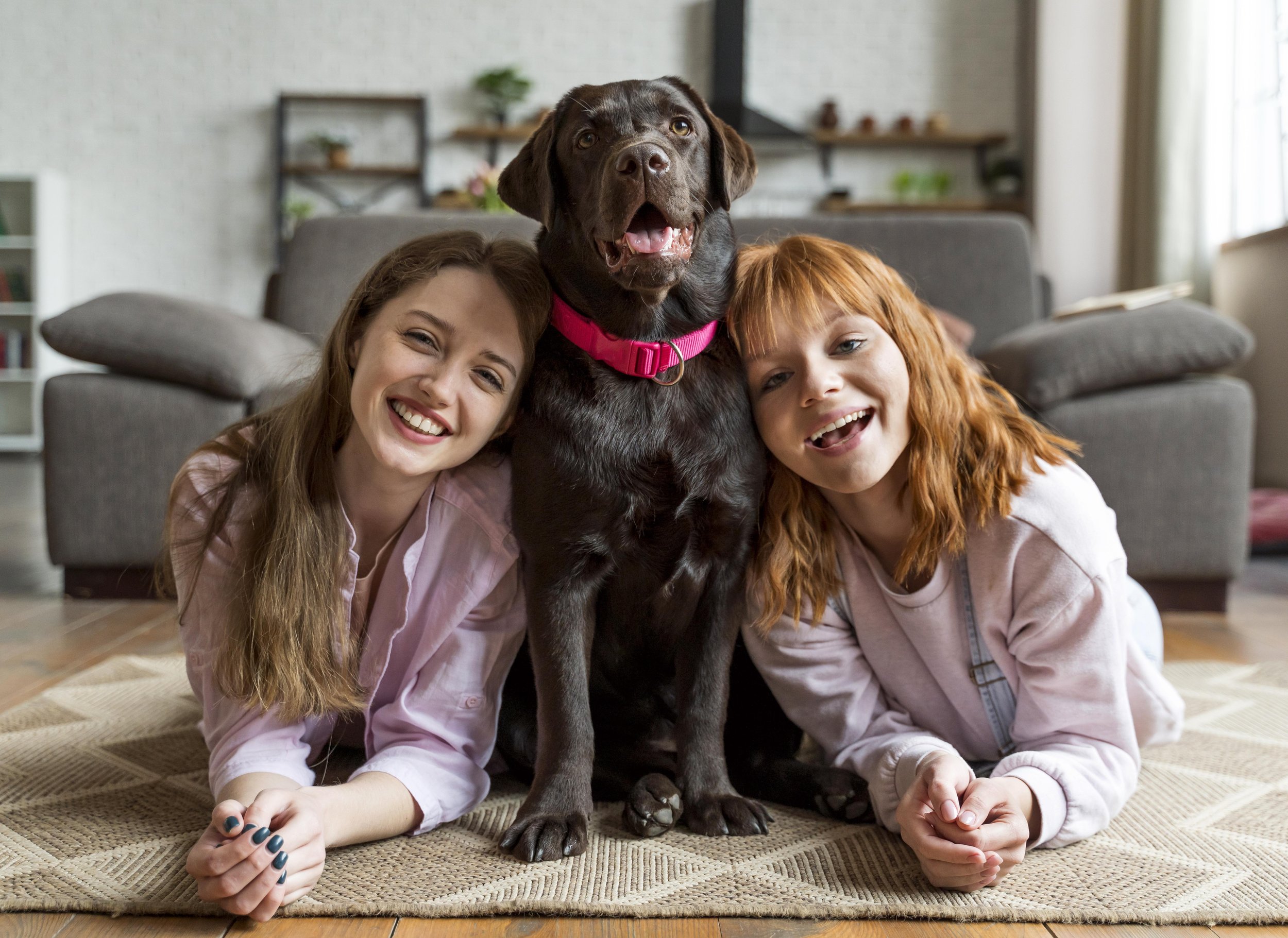 Emotional Support Animals: What You Need to Know