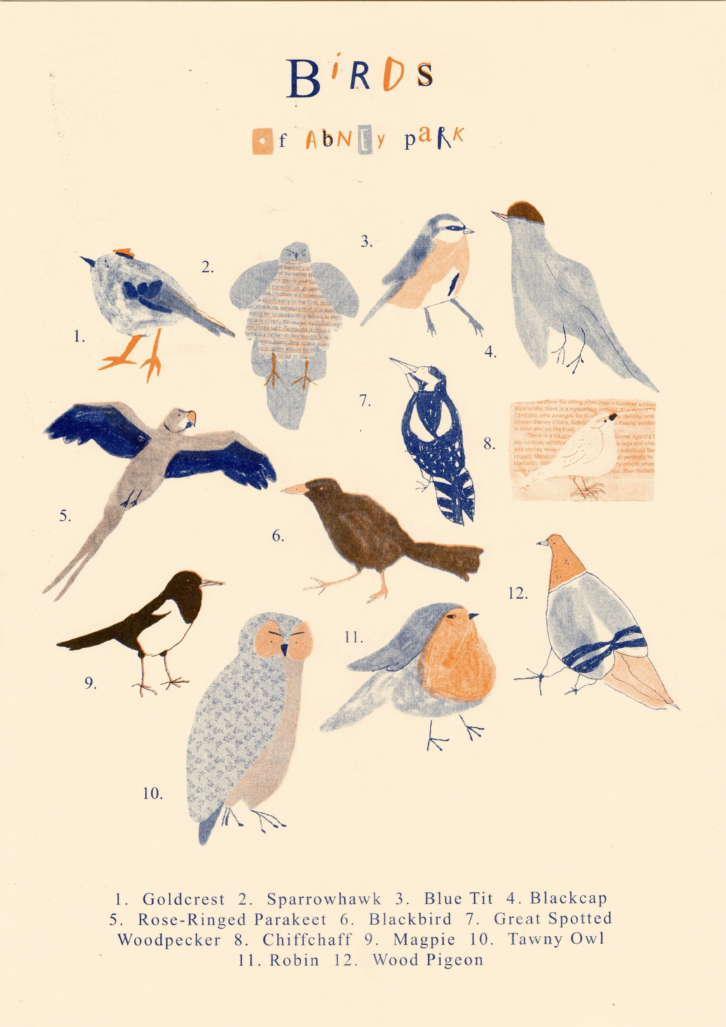 Wildlife Poster for Abney Park (Riso printed)