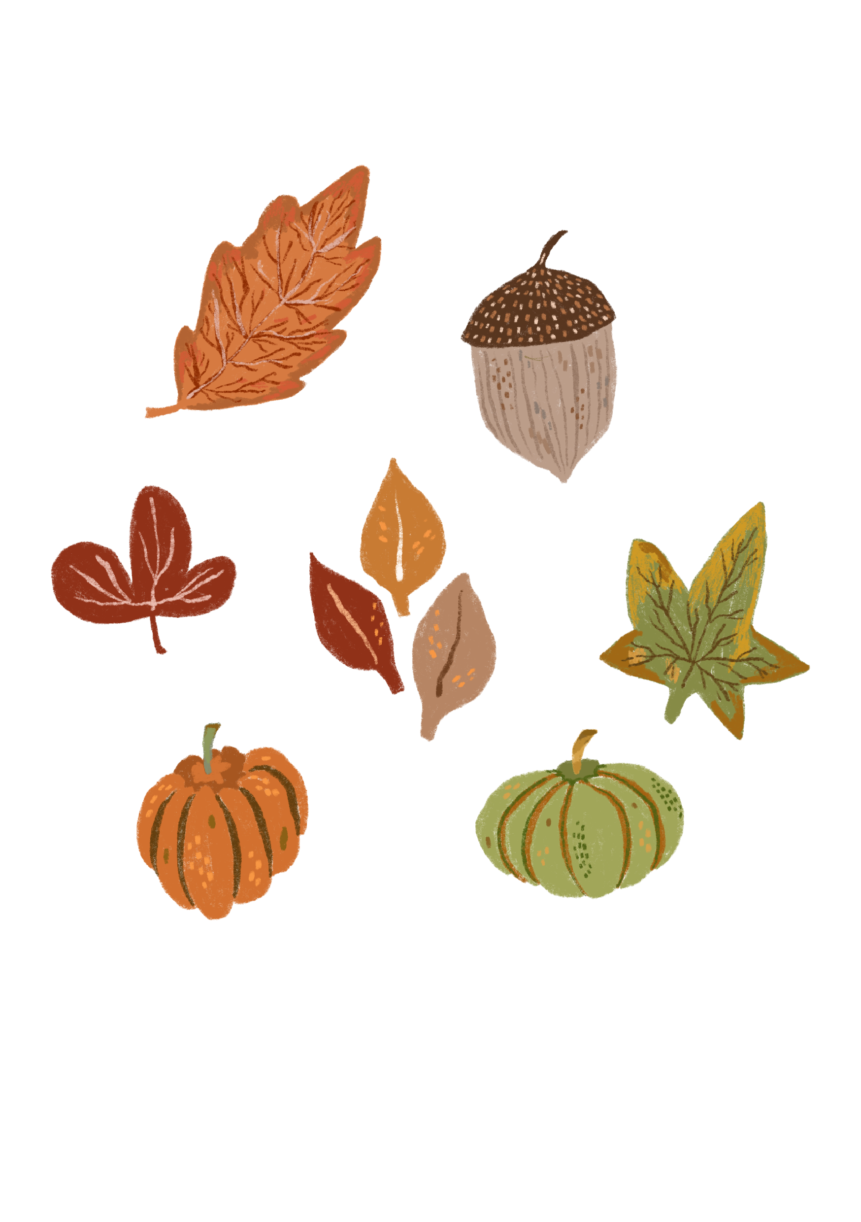 Autumn Spot Illustrations for The Student Newspaper