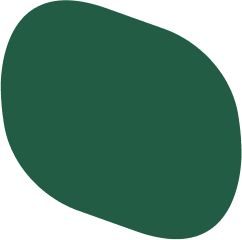 Green leaf against a black background.