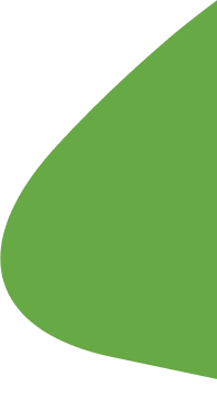 A close-up of a green and black leaf with a smooth, curved edge.