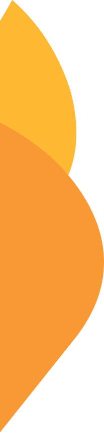 Close-up of sliced oranges with orange and yellow sections visible.