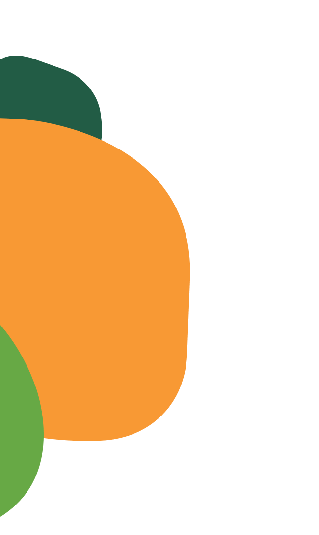 Colorful abstract shapes in green, orange, and black.