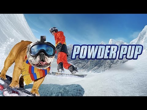 Powder Pup