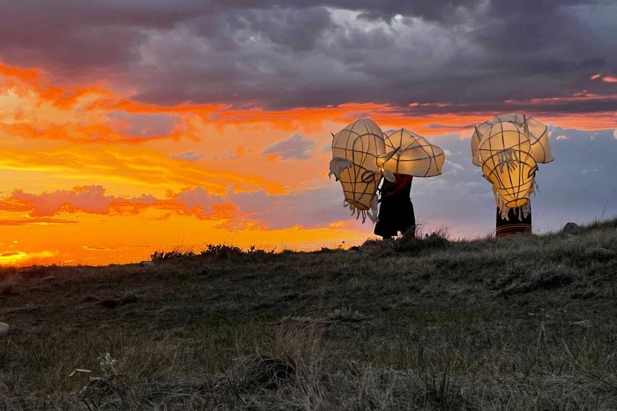 Buffalo Lessons: Conservation Through Storytelling in Film and Print