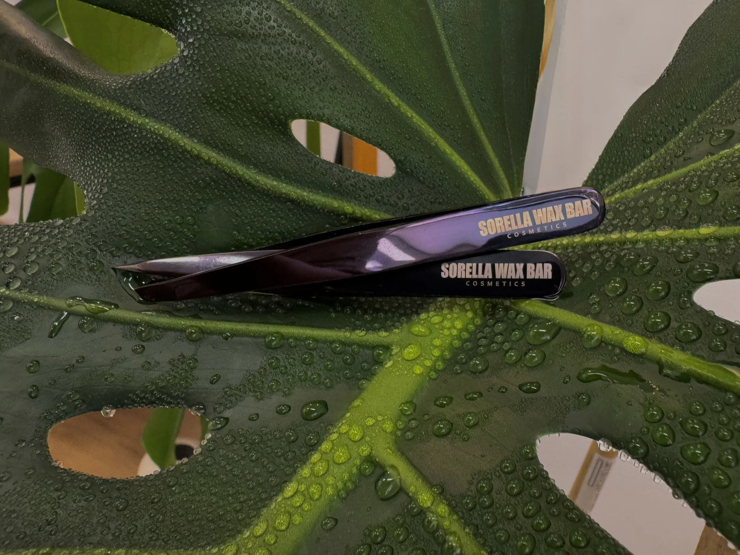 sorella wax bar cosmetics and waxing woodland hills