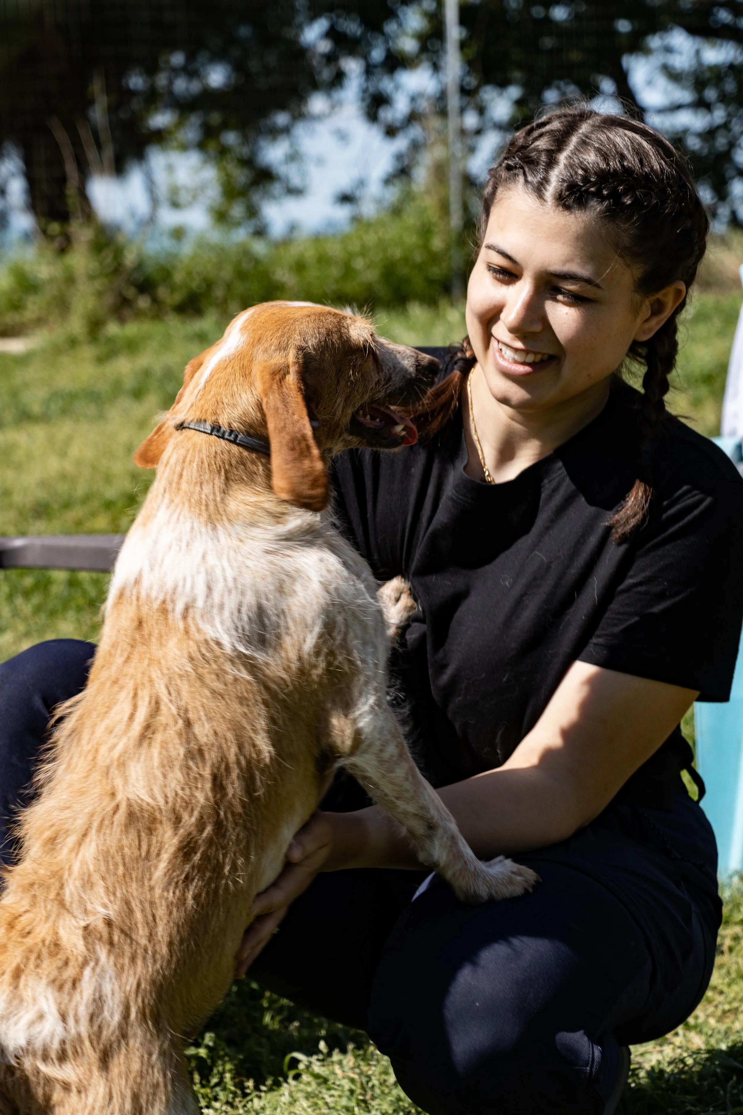 Junge Frau mit Zopf hält einen braunen und weißen Hund im Freien, beide scheinen sich zu begrüßen oder zu spielen, bei sonnigem Wetter.