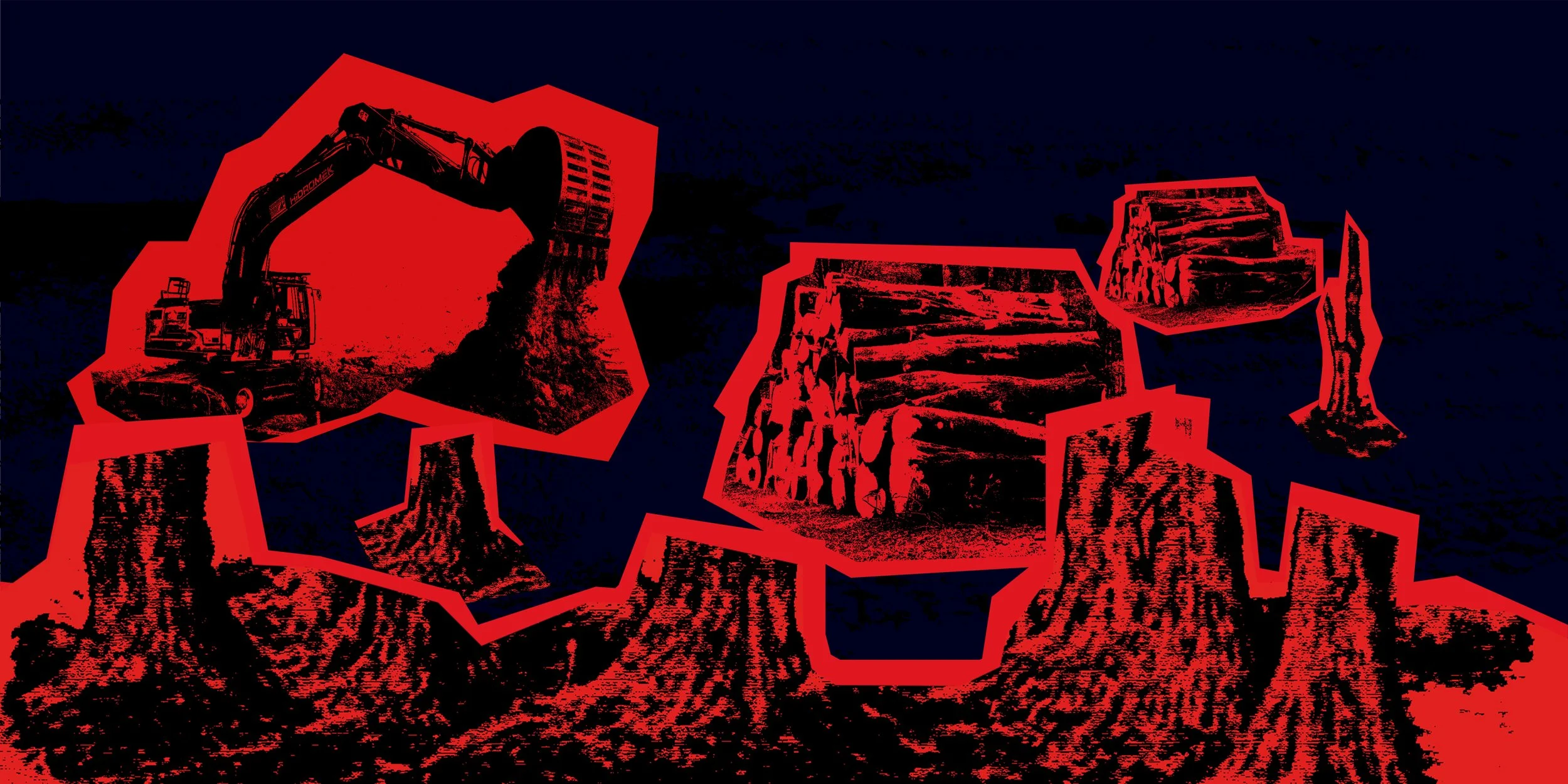F&F wall 5.jpg