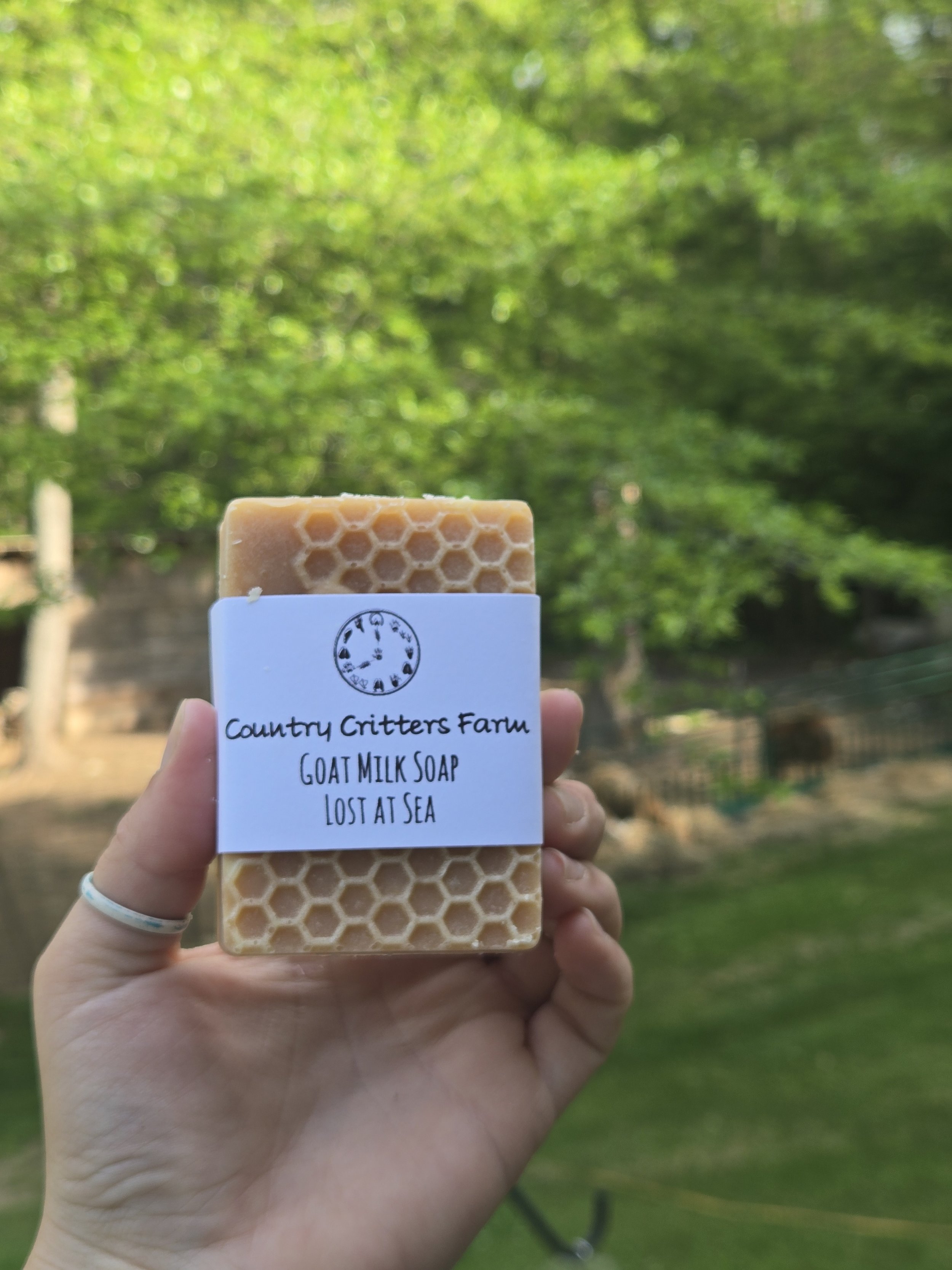 Lost At Sea - Goat Milk Soap