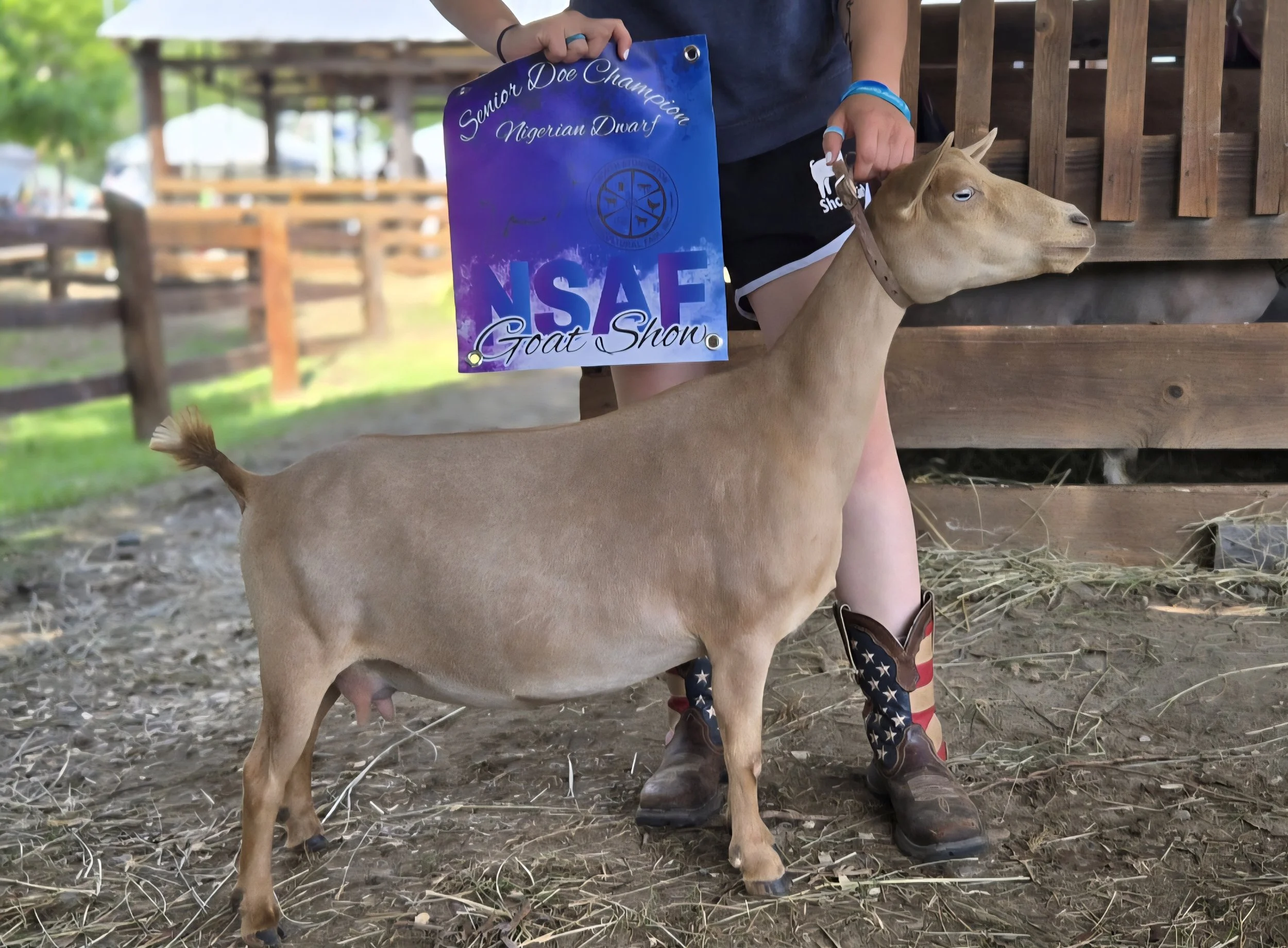 Country Critters Farm Q Karina